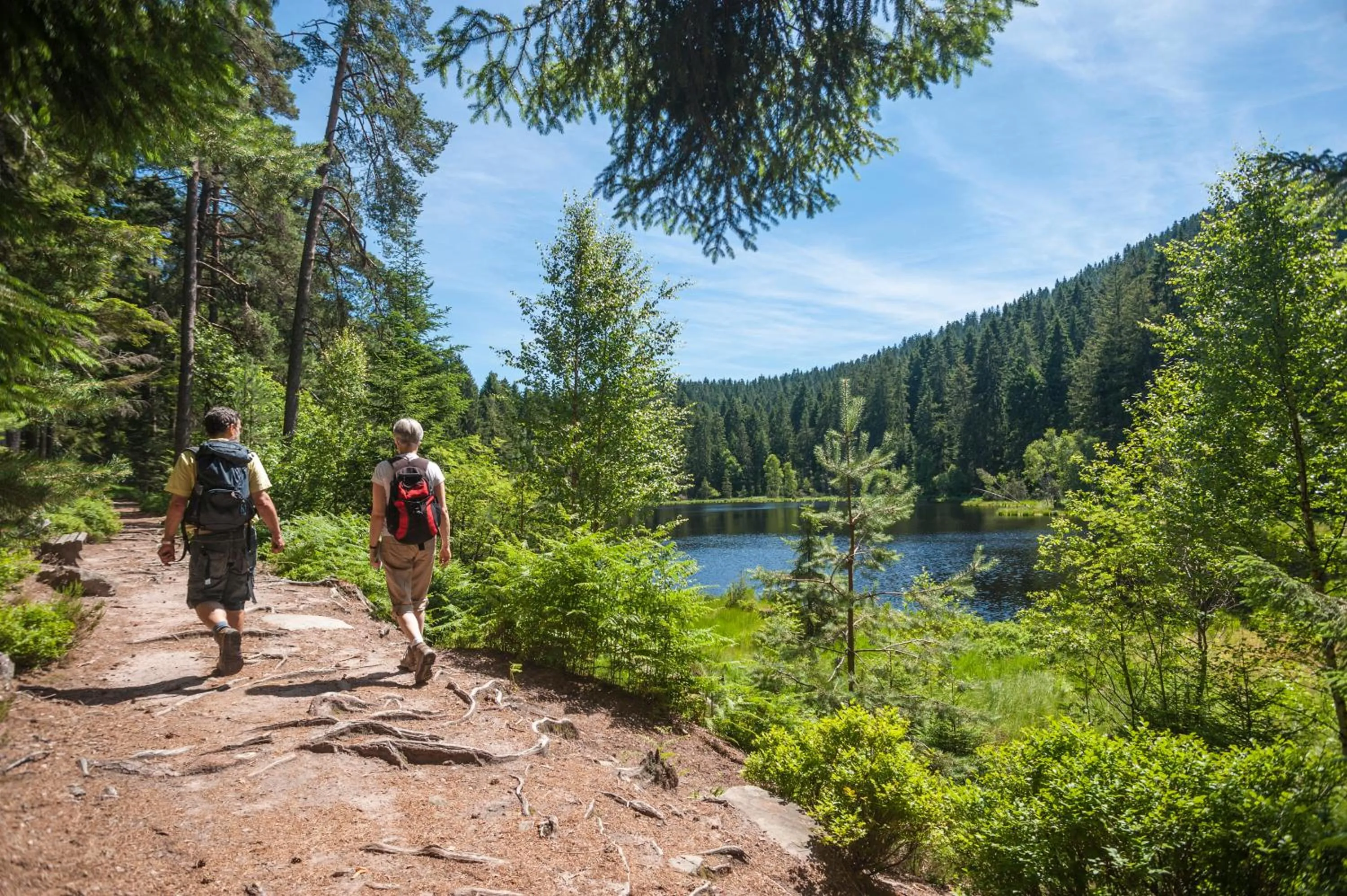 Natural landscape in Möhringers Schwarzwald Hotel