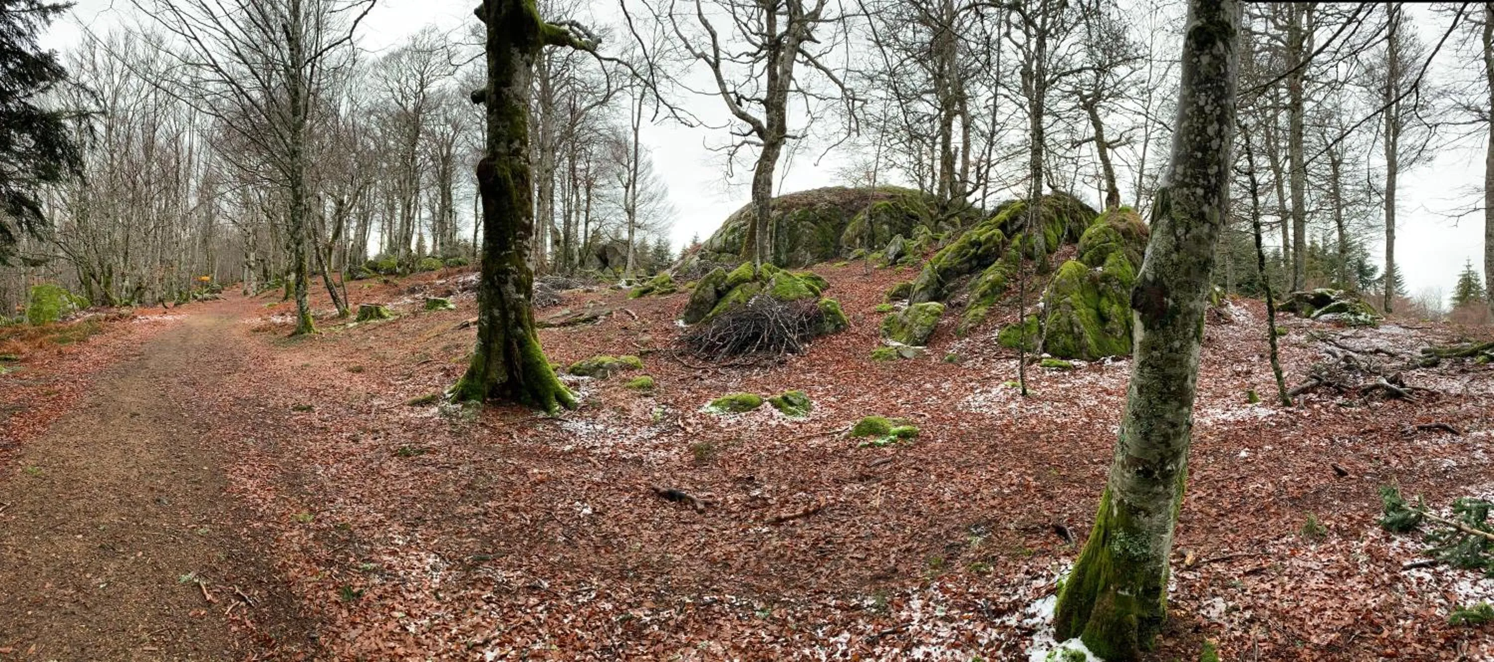 Nearby landmark in DOMAINE BERENGUER