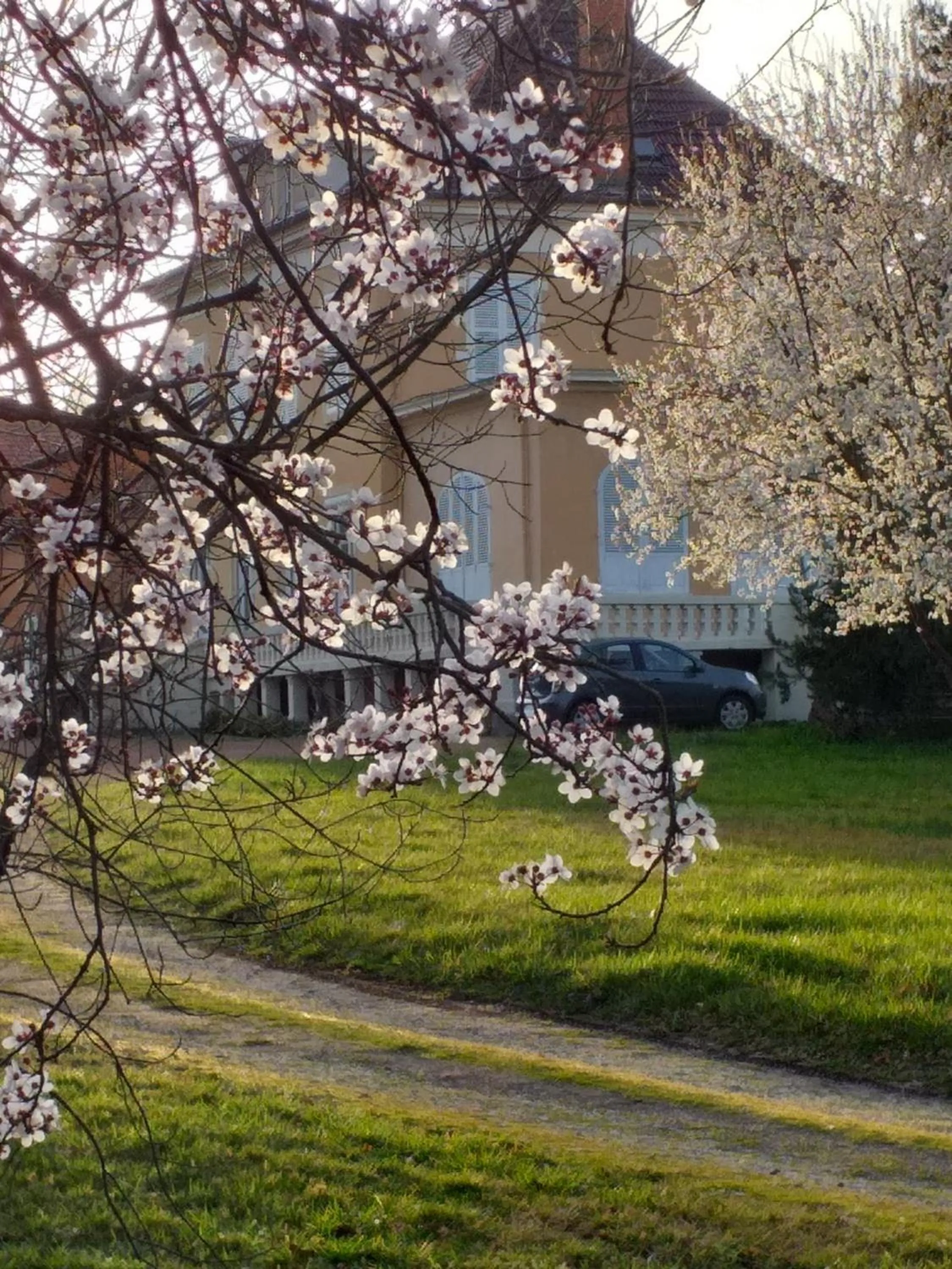 Property building in DOMAINE BERENGUER