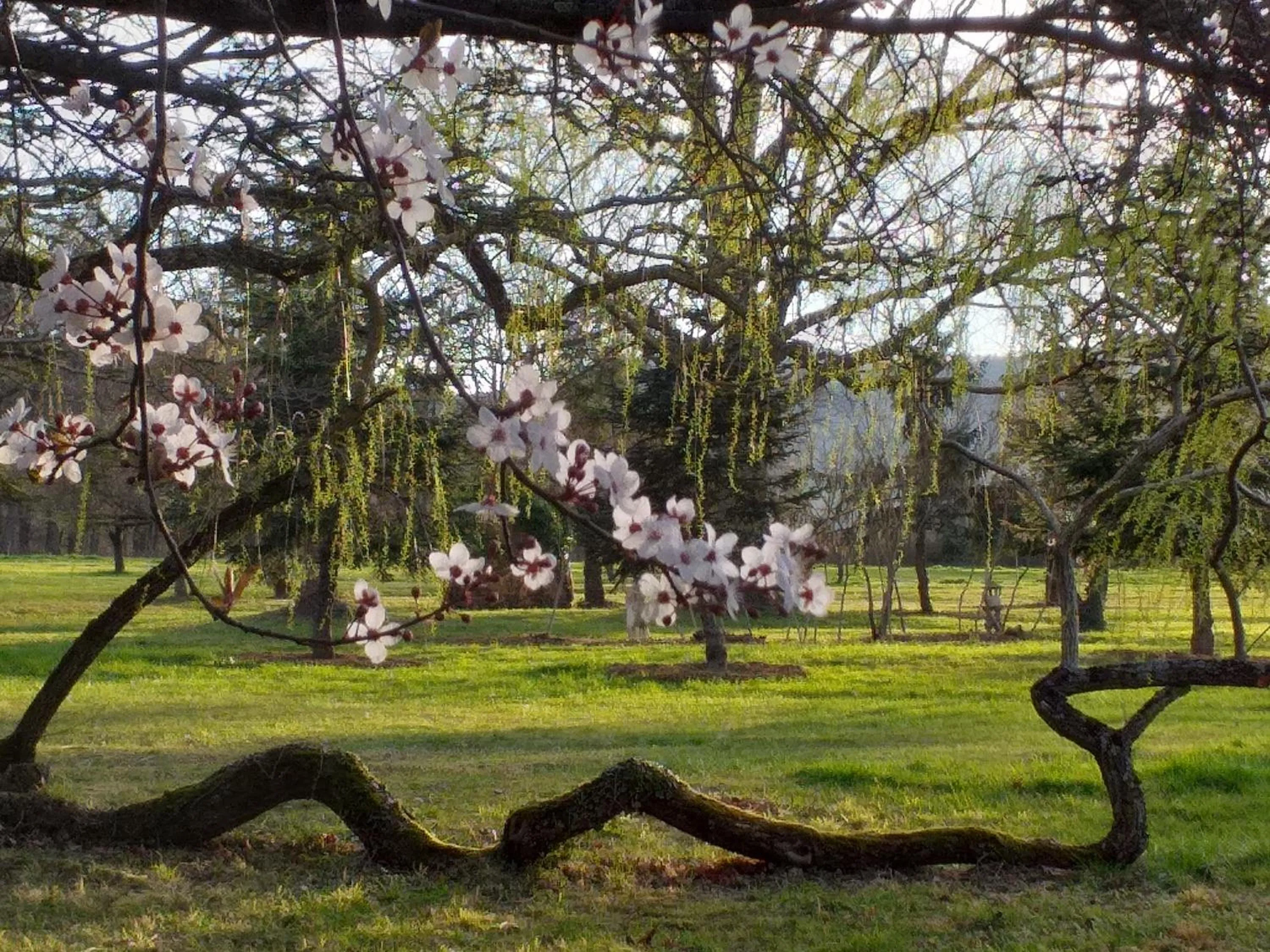 Garden in DOMAINE BERENGUER