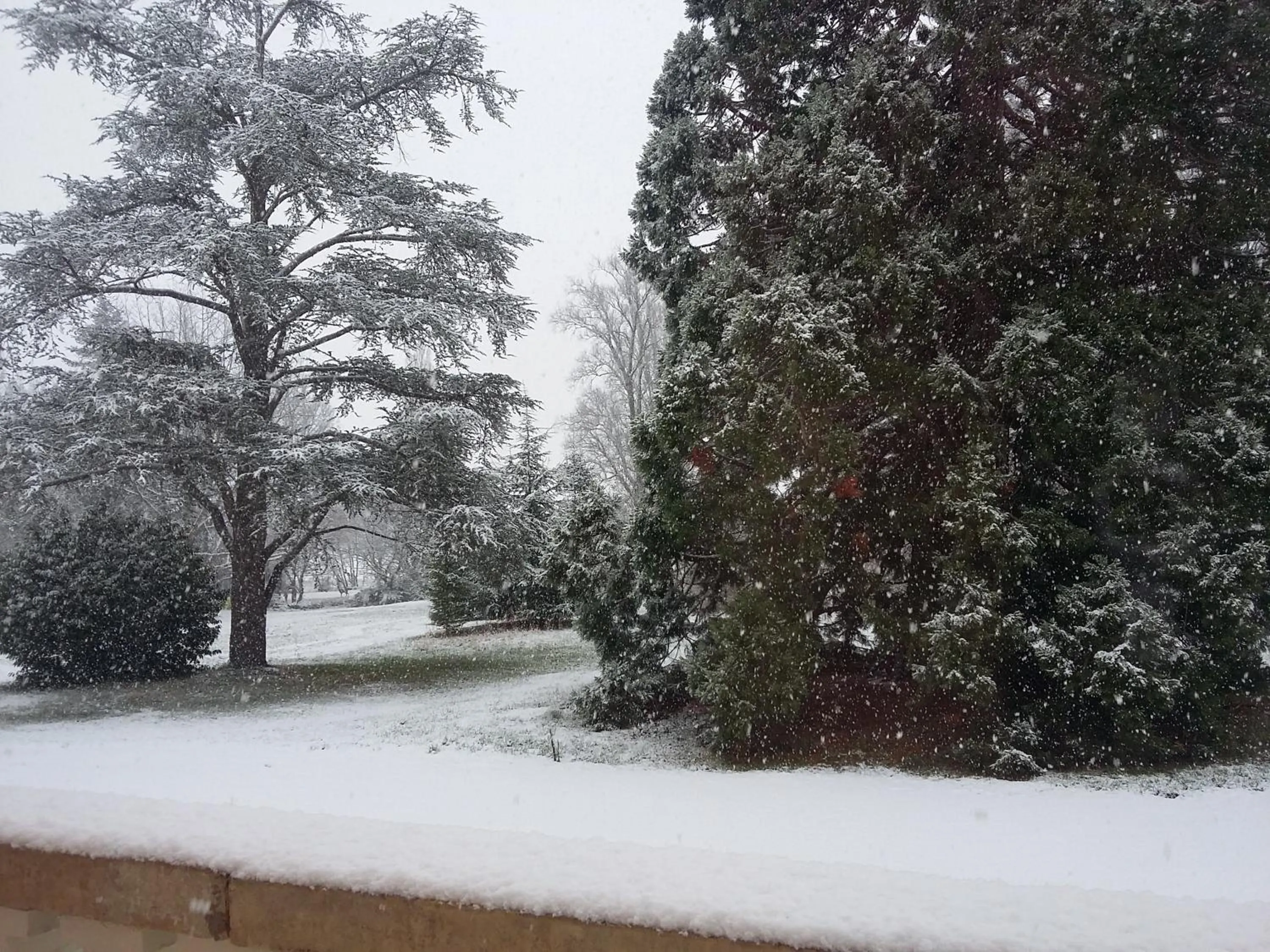 Winter in DOMAINE BERENGUER