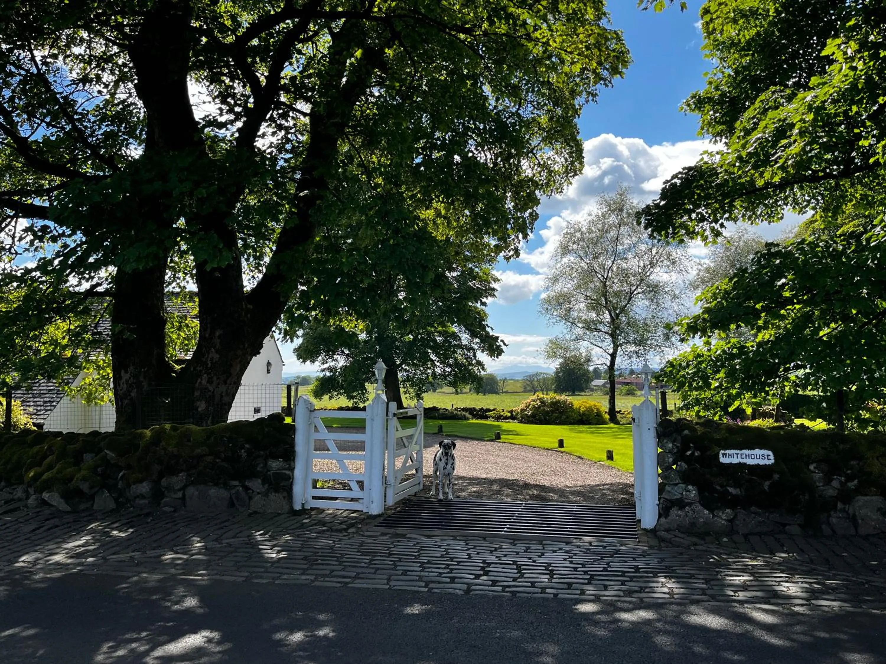 Property logo or sign in Whitehouse