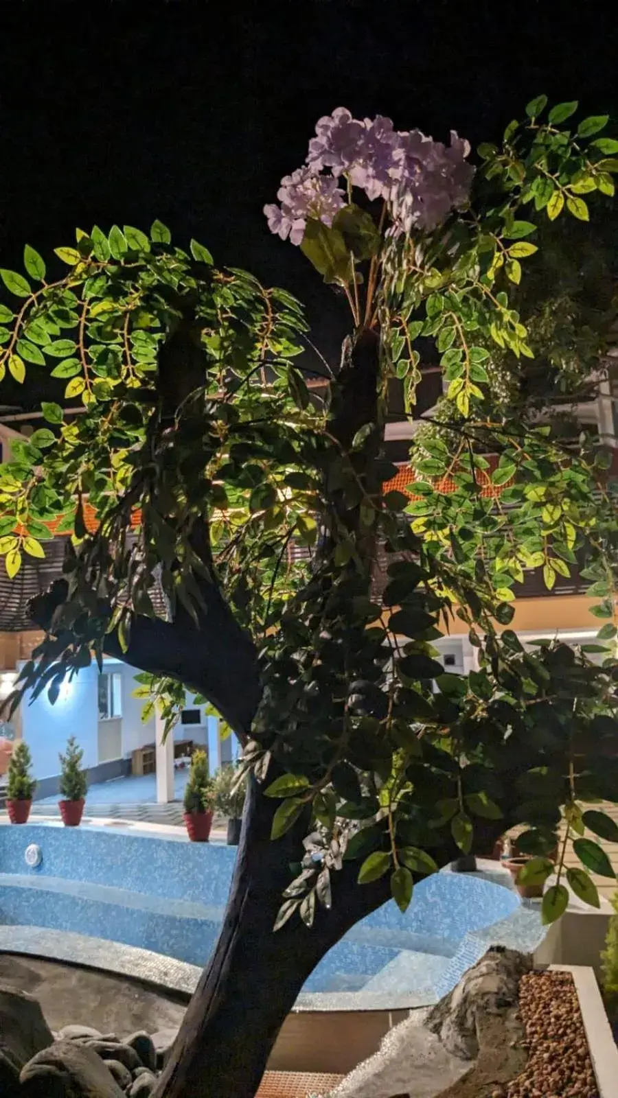 Pool view in Lake Palace Family Resort Kumarakom Pool view in Lake Palace Family Resort Kumarakom