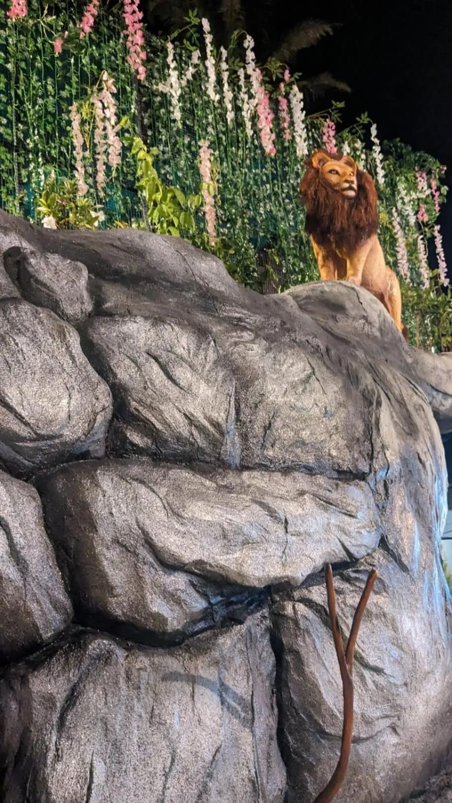 Garden view in Lake Palace Family Resort Kumarakom