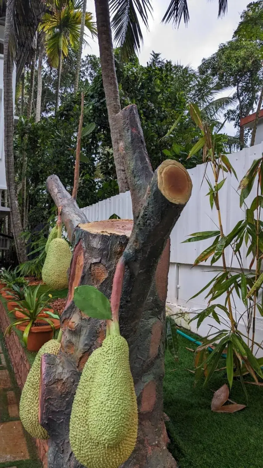 Garden view in Lake Palace Family Resort Kumarakom Garden view in Lake Palace Family Resort Kumarakom