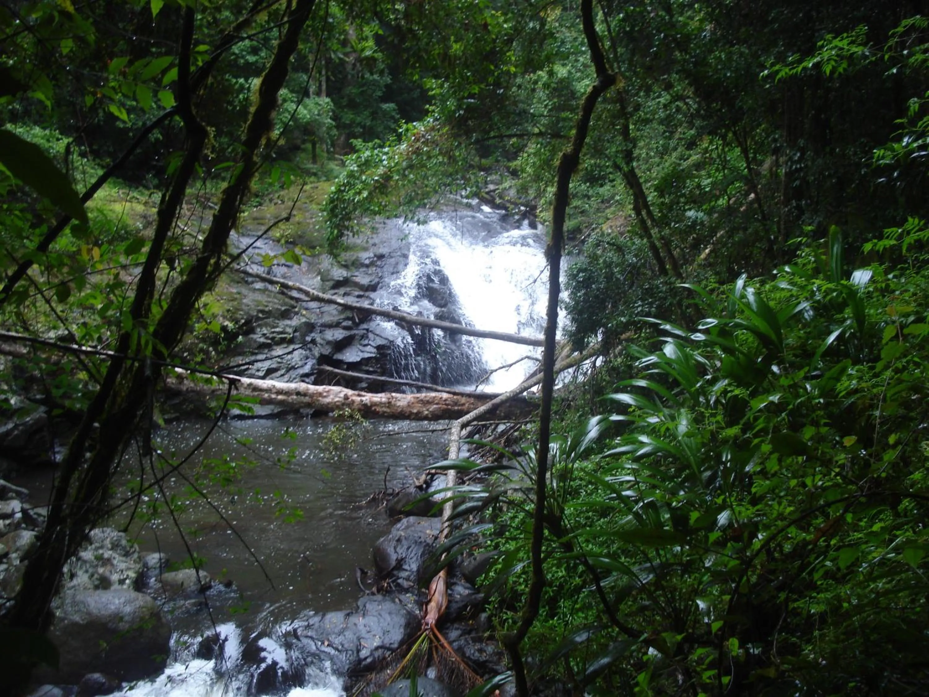 Off site in Christmas Creek Café & Cabins