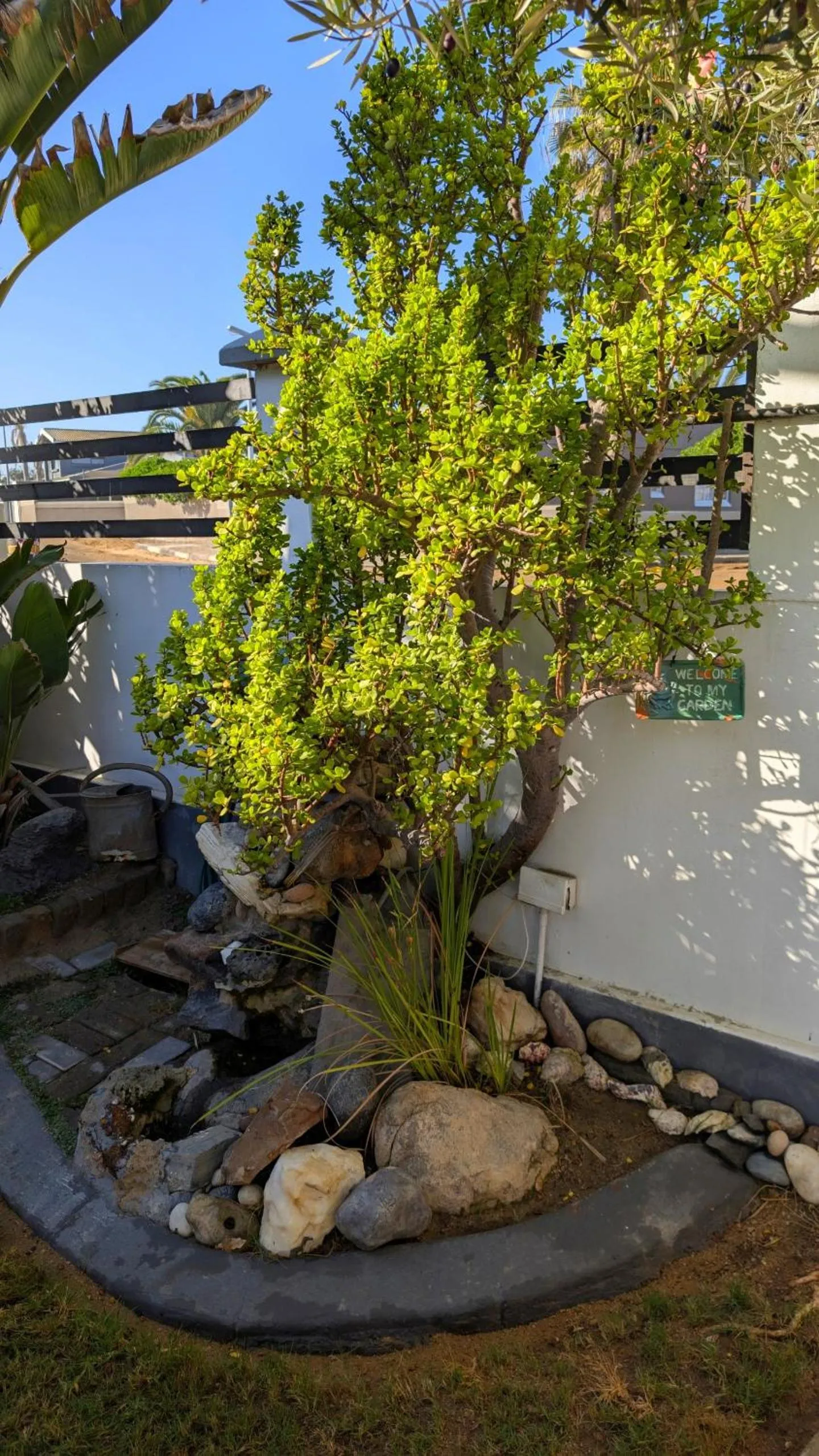 Garden in Amarachi Guesthouse