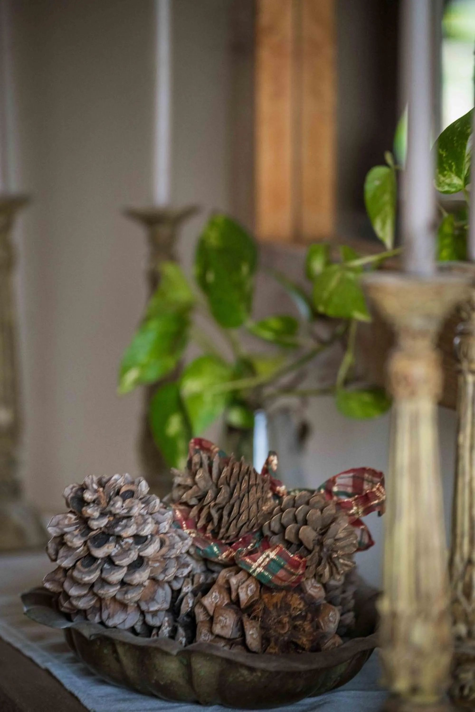 Property building in Mulberries