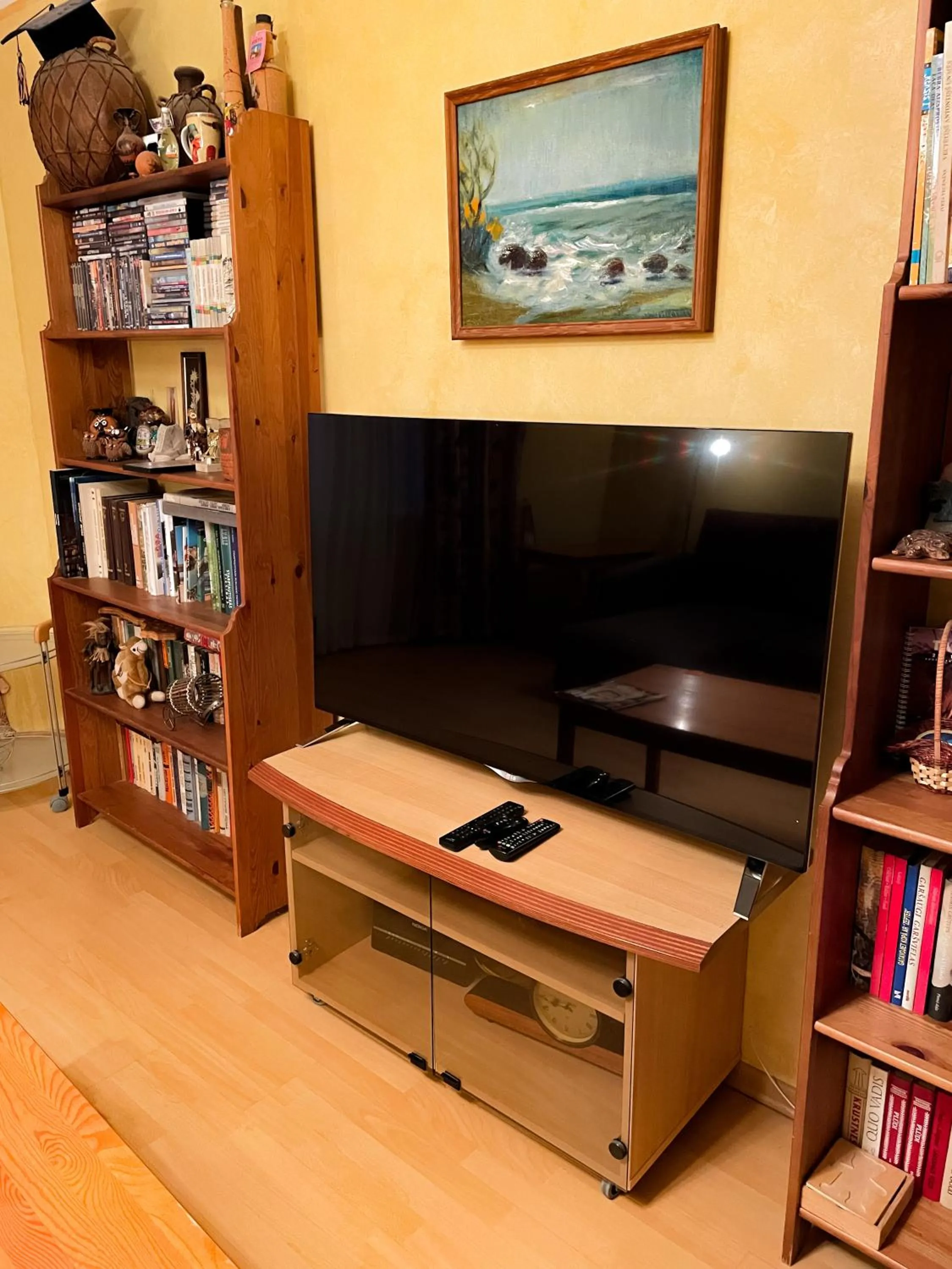TV and multimedia in Terbatas Apartment