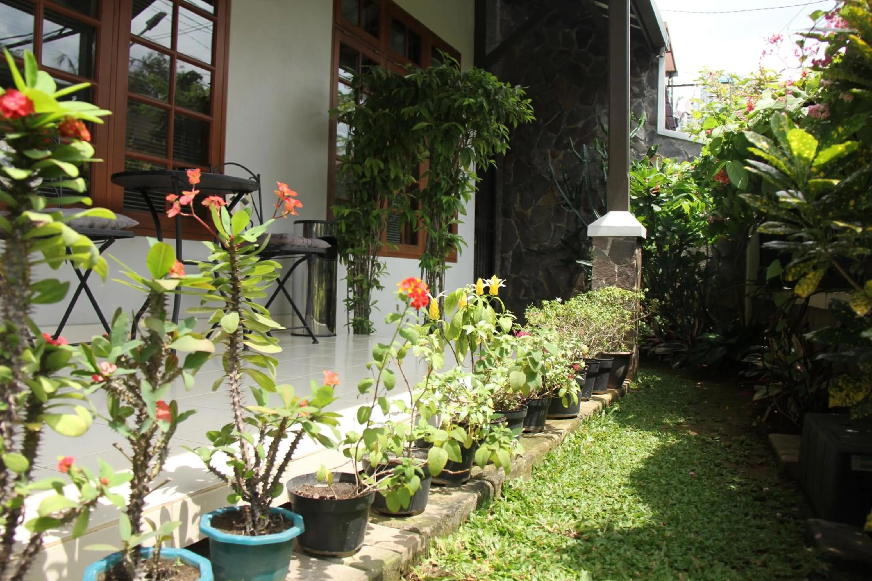 Garden in Bed and Breakfast Tomang