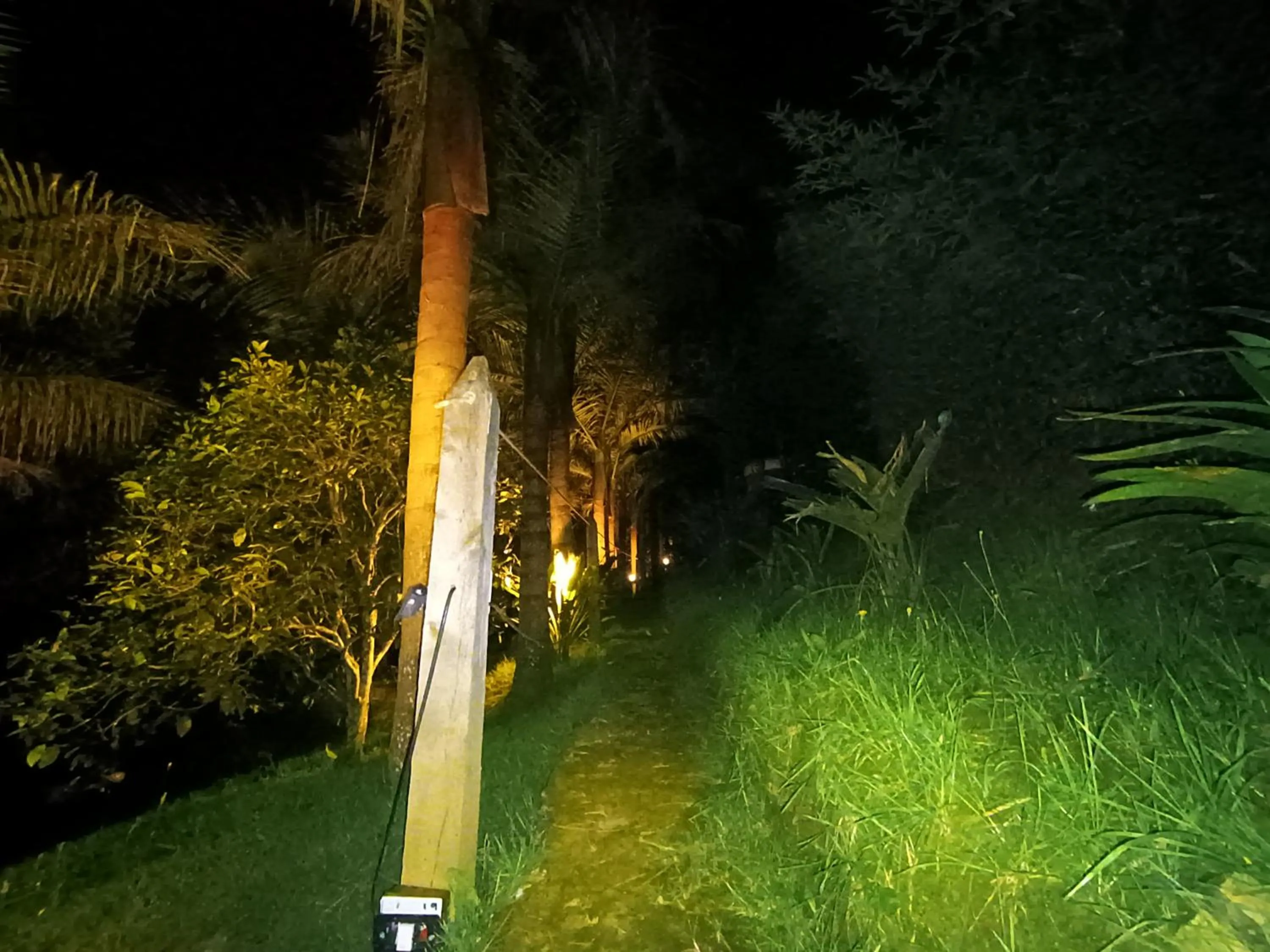 Night in BioHotel Ecohouse