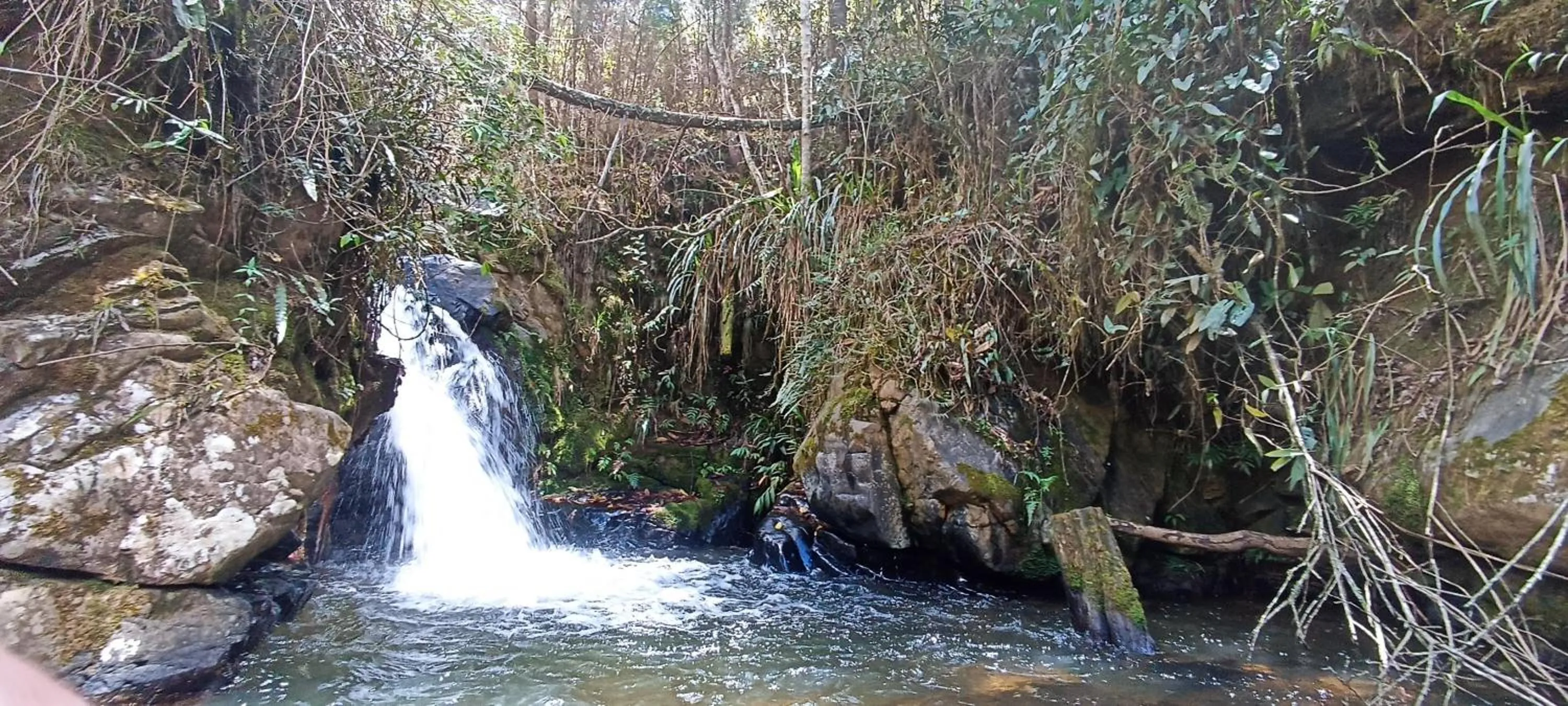 Spa and wellness centre/facilities in BioHotel Ecohouse