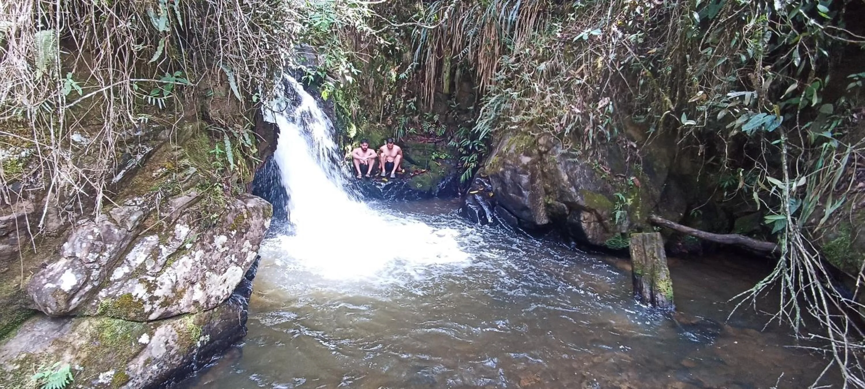 Swimming pool in BioHotel Ecohouse
