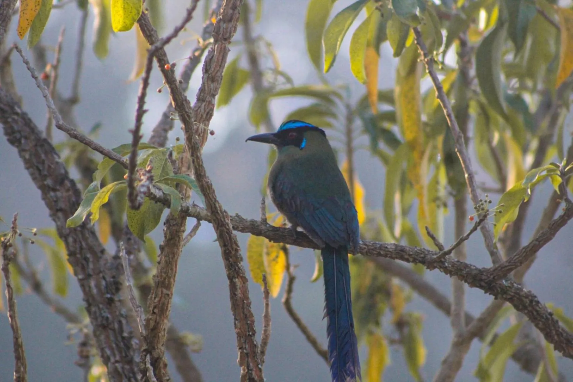 Day in BioHotel Ecohouse