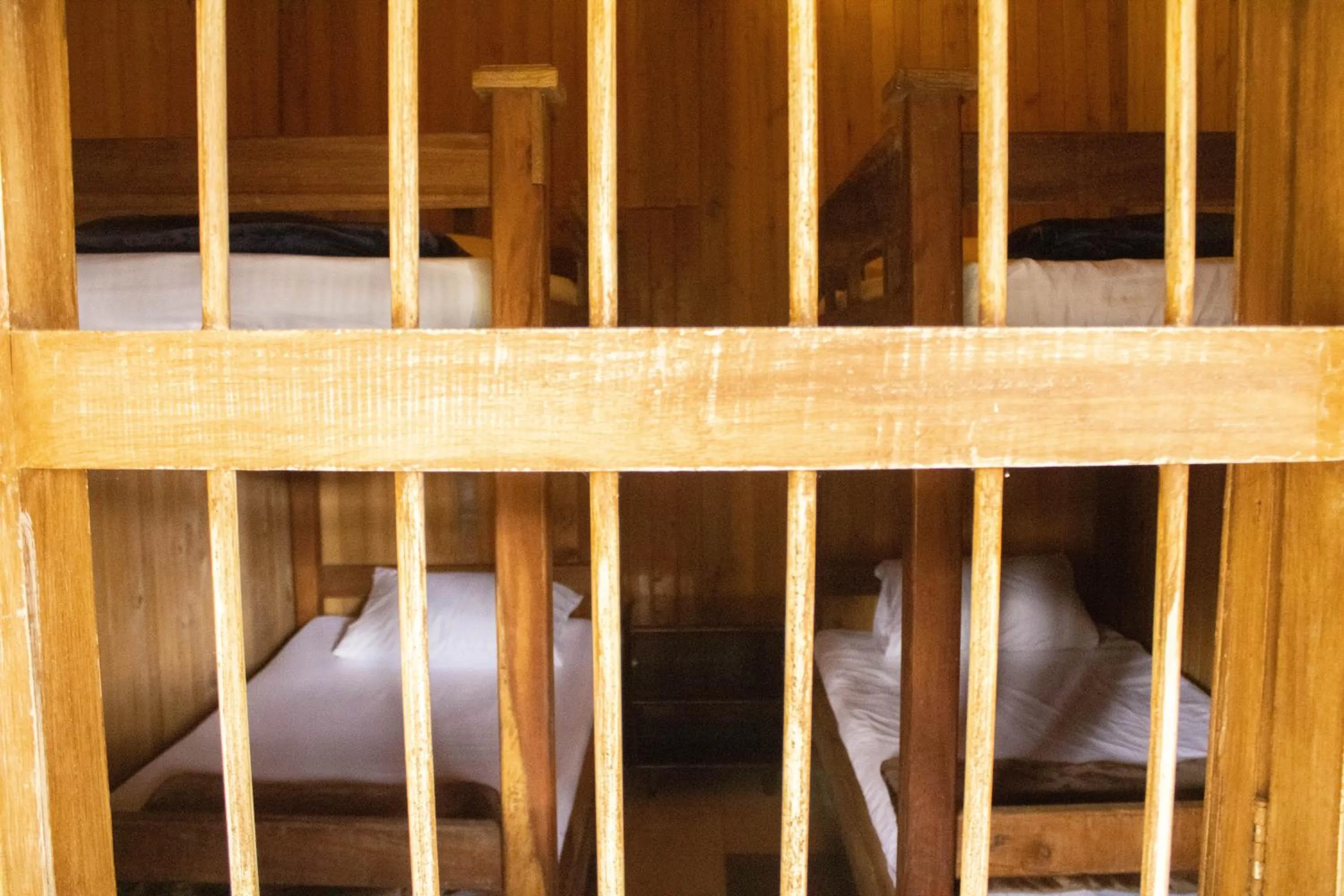 bunk bed, Bed in BioHotel Ecohouse