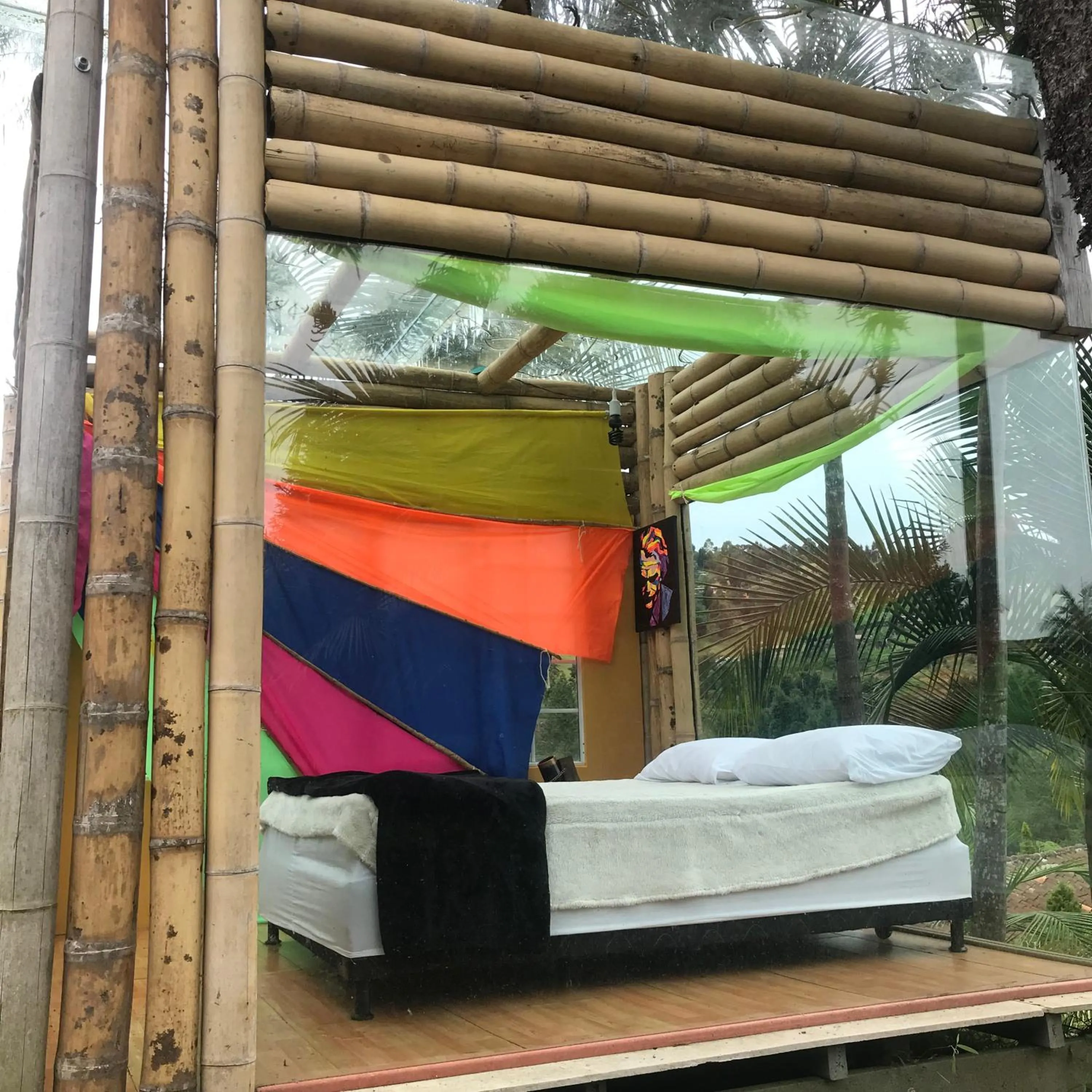 Garden in BioHotel Ecohouse