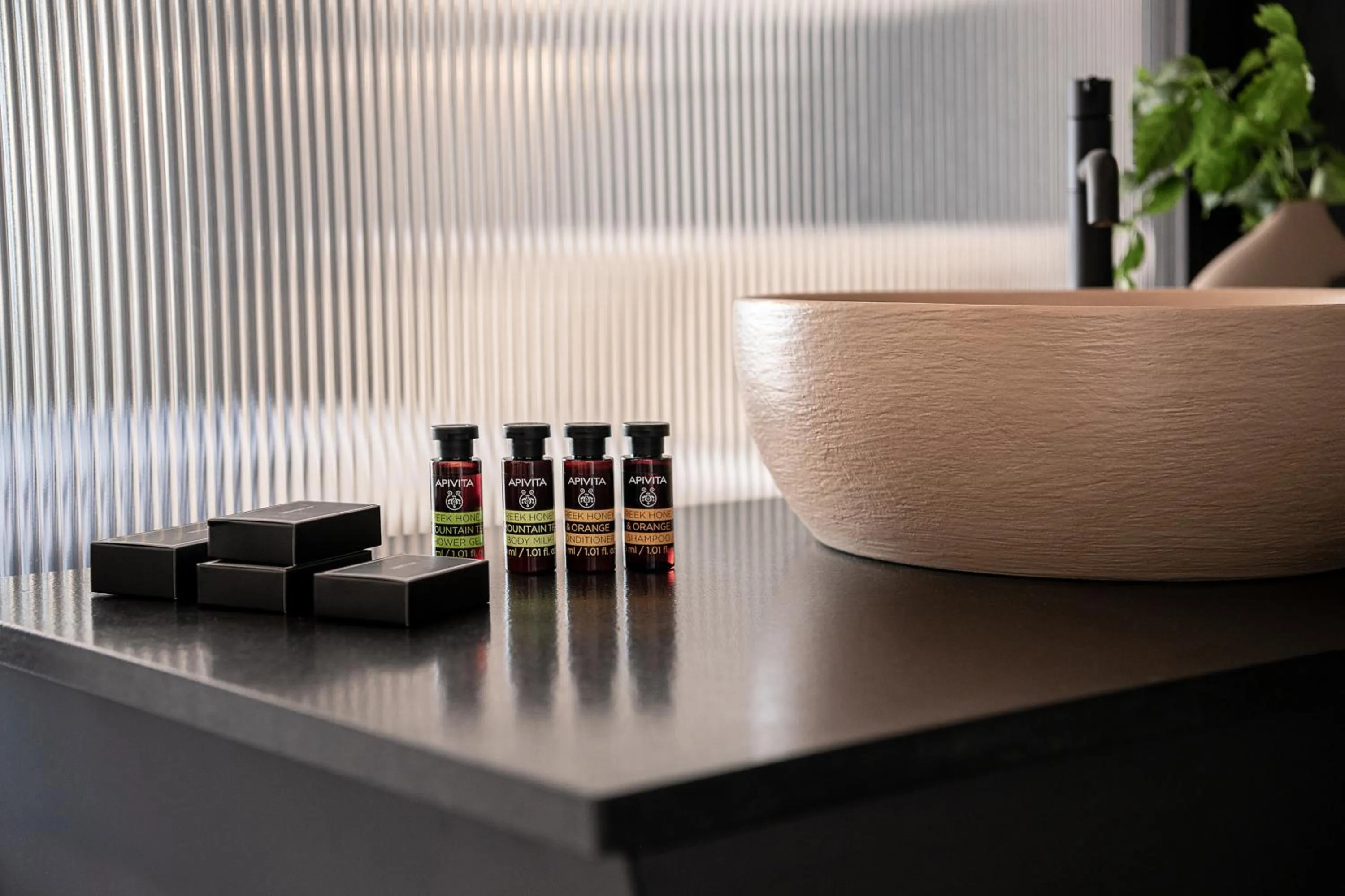 Area and facilities in Nuovo Luxury Suites