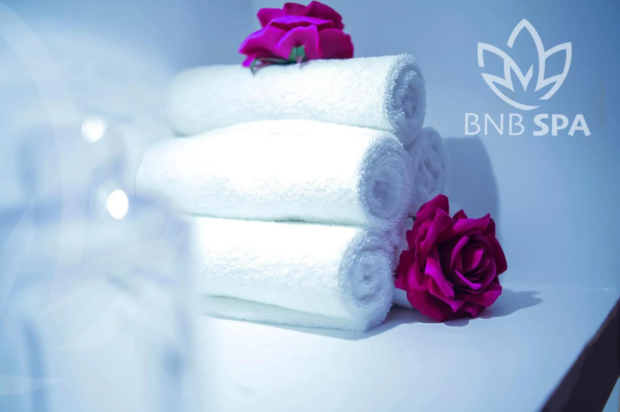 Spa and wellness centre/facilities in BNB Hotel Spa