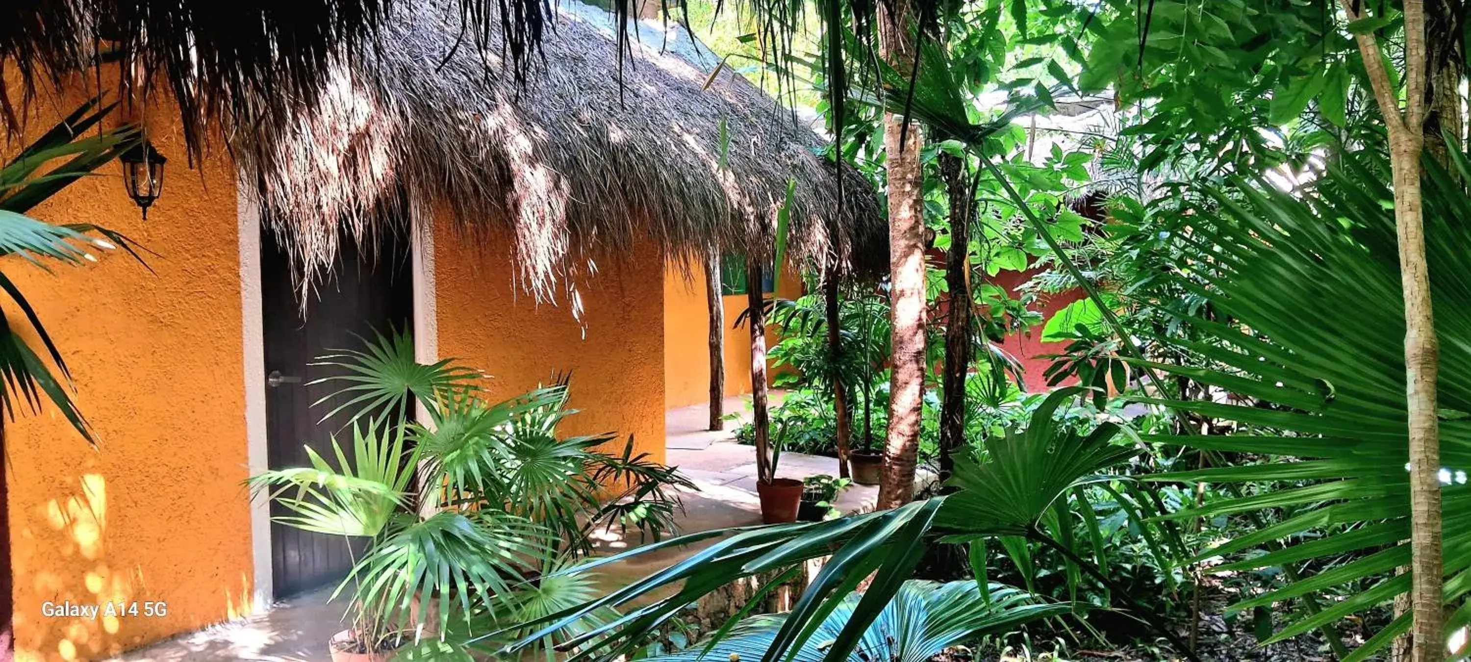 Casa Don Diego Casa Don Diego