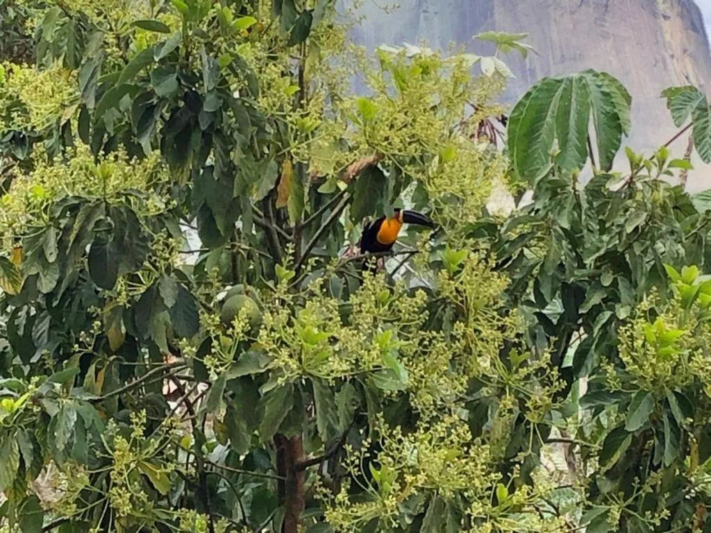 Flat Vista Azul Hotel