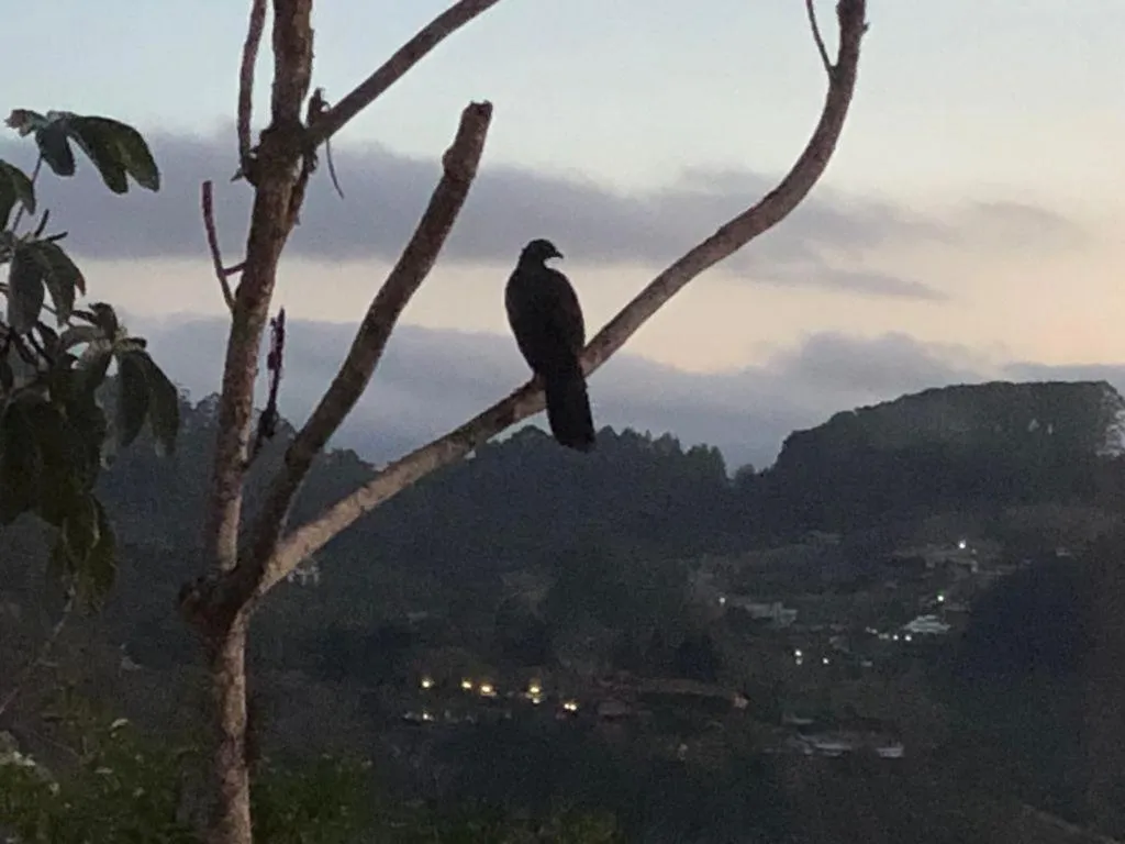 Flat Vista Azul Hotel