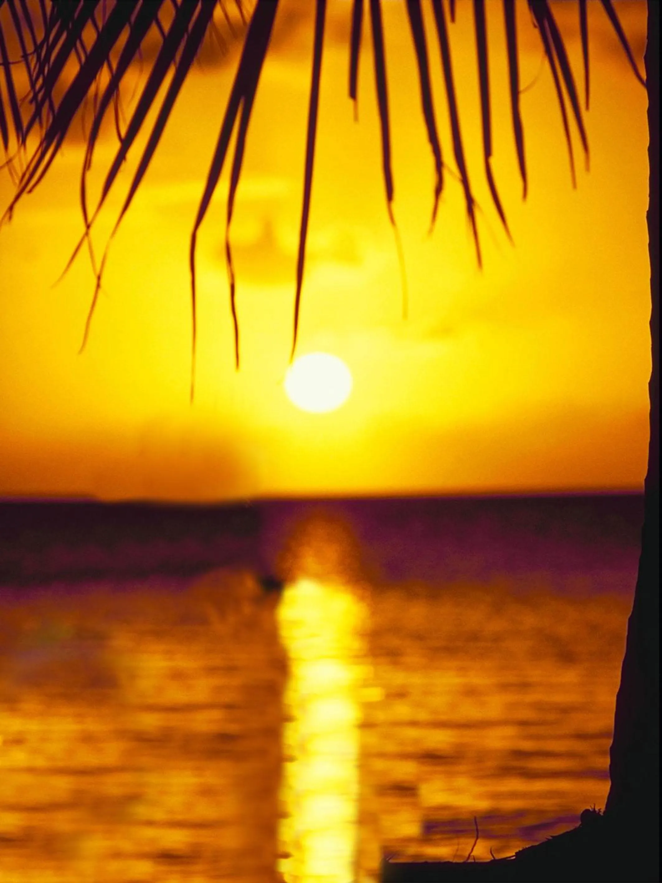 Night in MG Moms Hotel