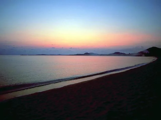 Night in MG Moms Hotel