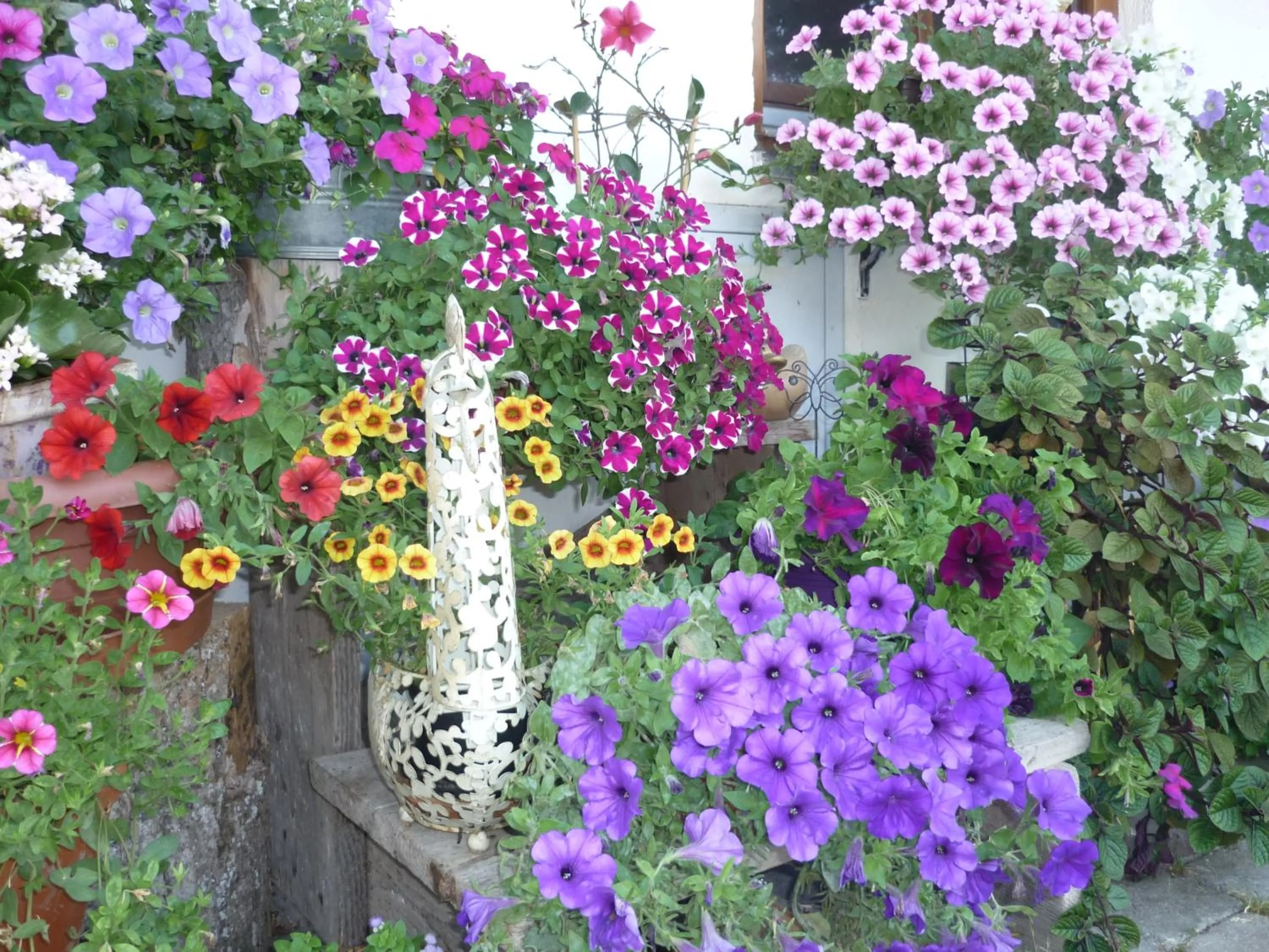 Other in Der Blankhof "Back to Roots"