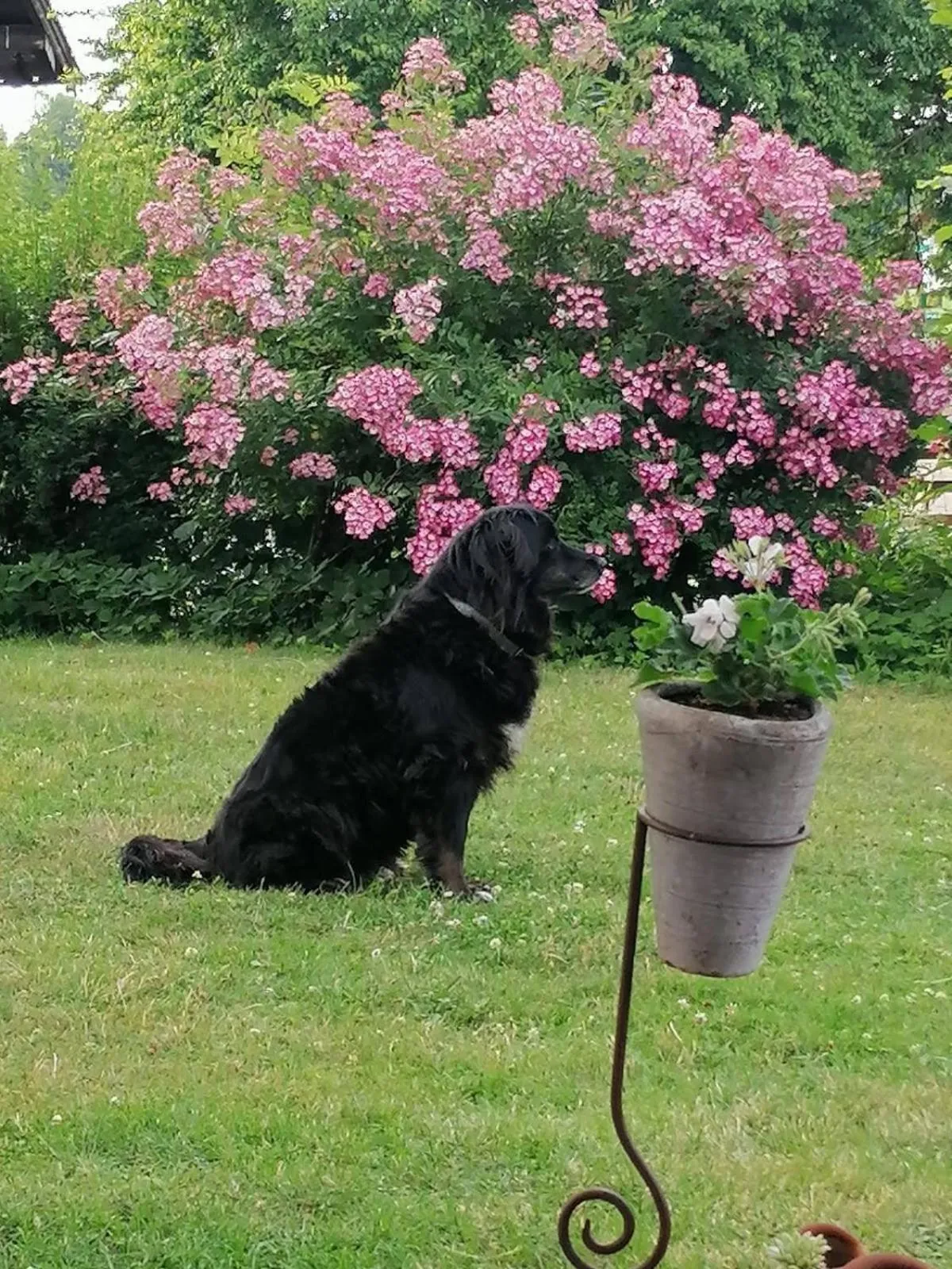 Garden view in Der Blankhof "Back to Roots"