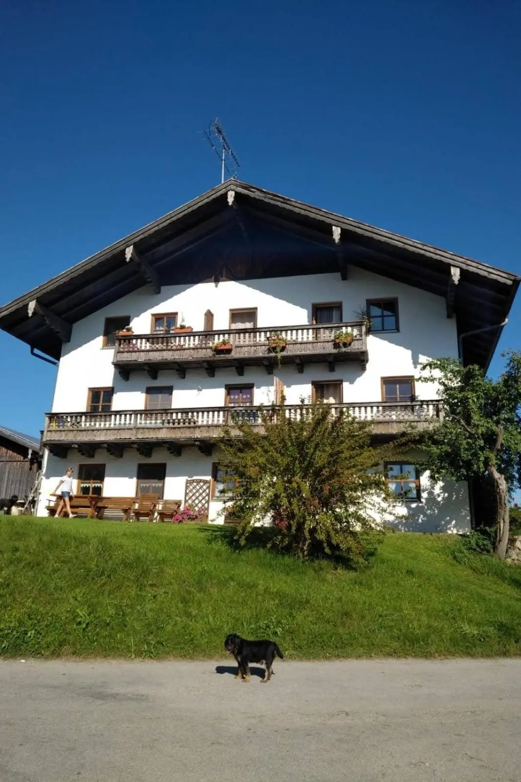 Property building in Der Blankhof "Back to Roots"