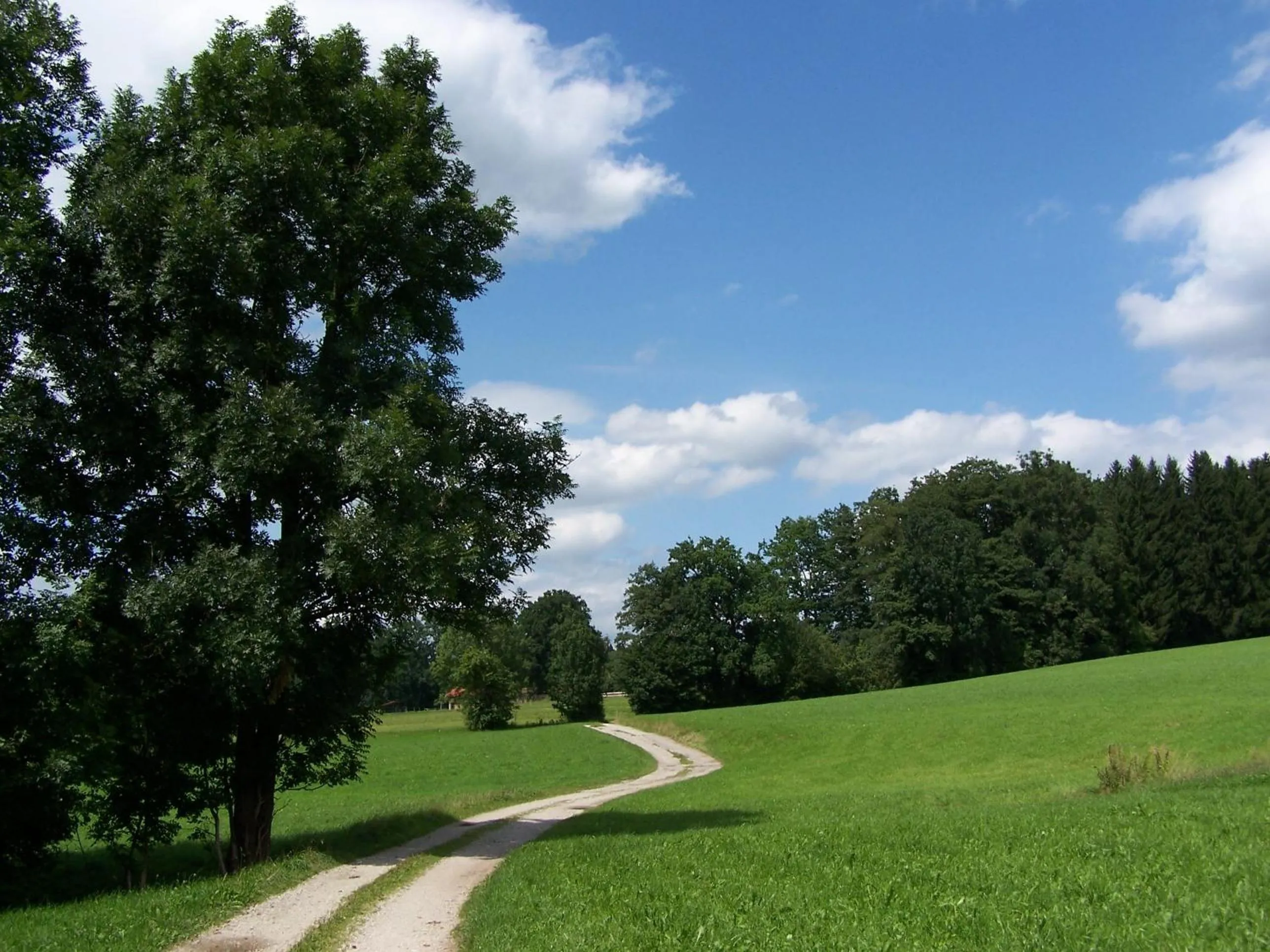 Area and facilities in Der Blankhof "Back to Roots"