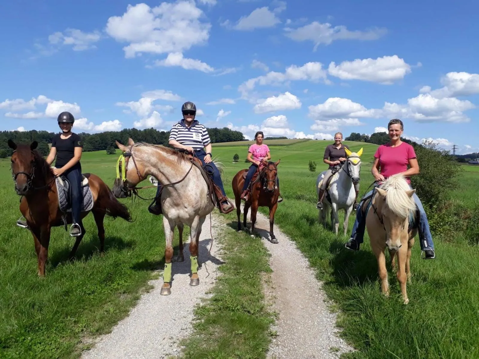 Horse-riding in Der Blankhof "Back to Roots"