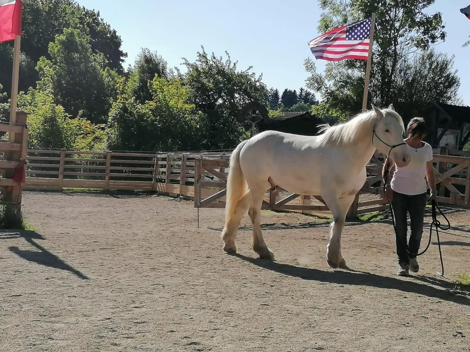 Horse-riding in Der Blankhof "Back to Roots"
