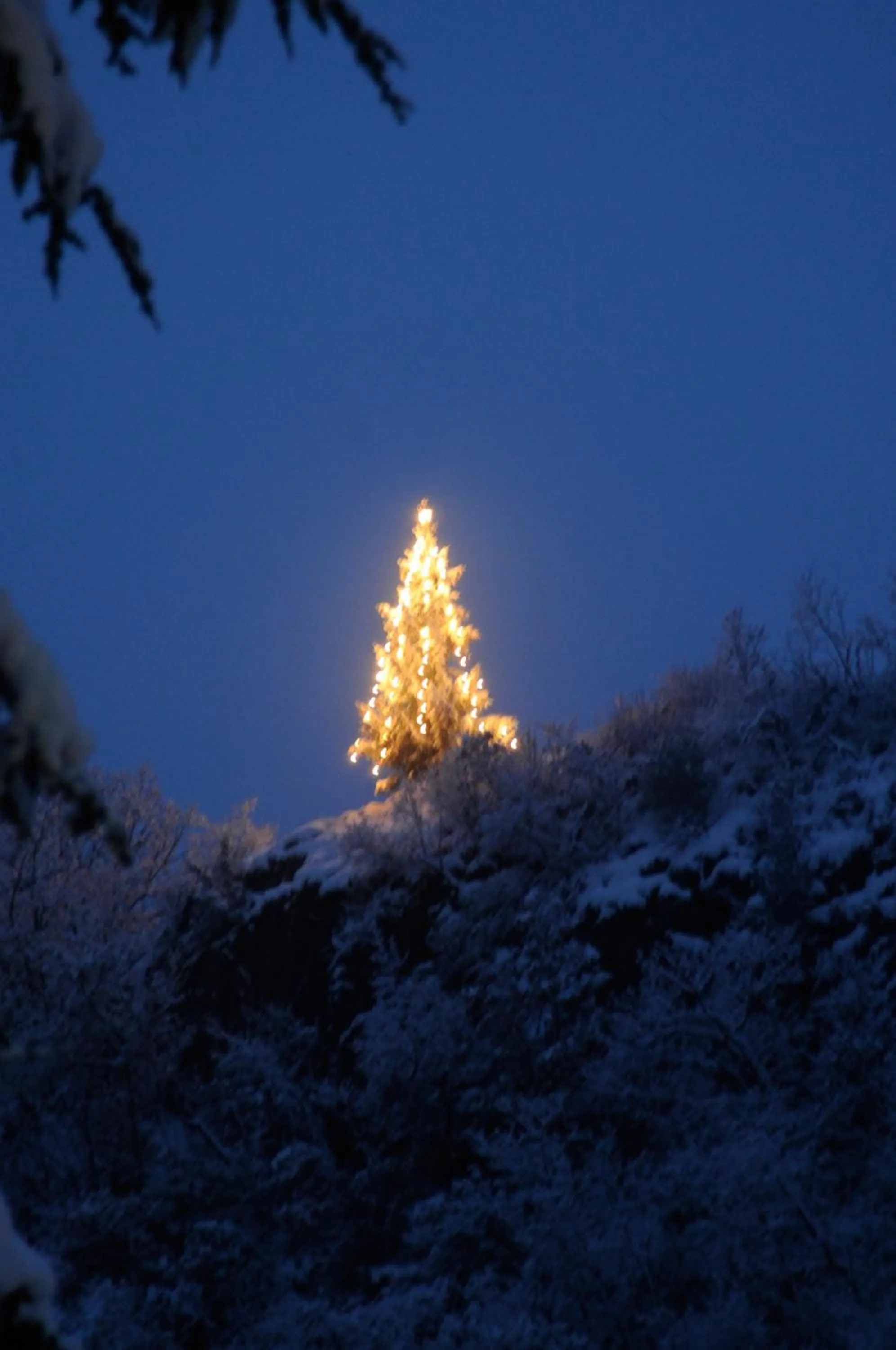 Apparthotel Gartenresidence Nalserhof