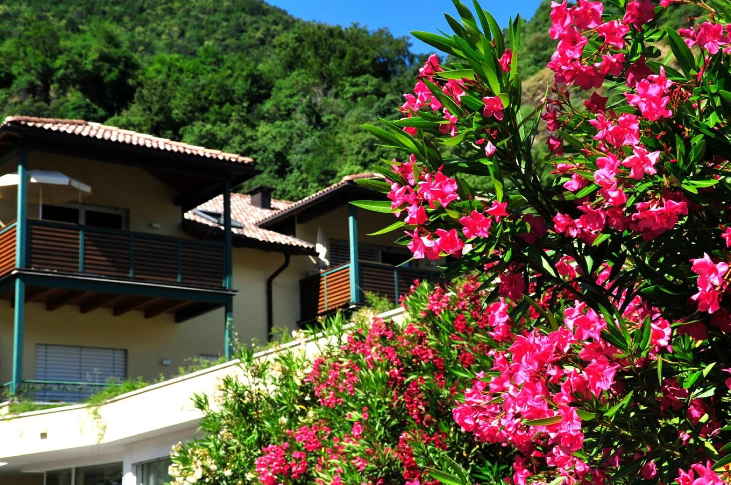 Balcony/Terrace in Apparthotel Gartenresidence Nalserhof