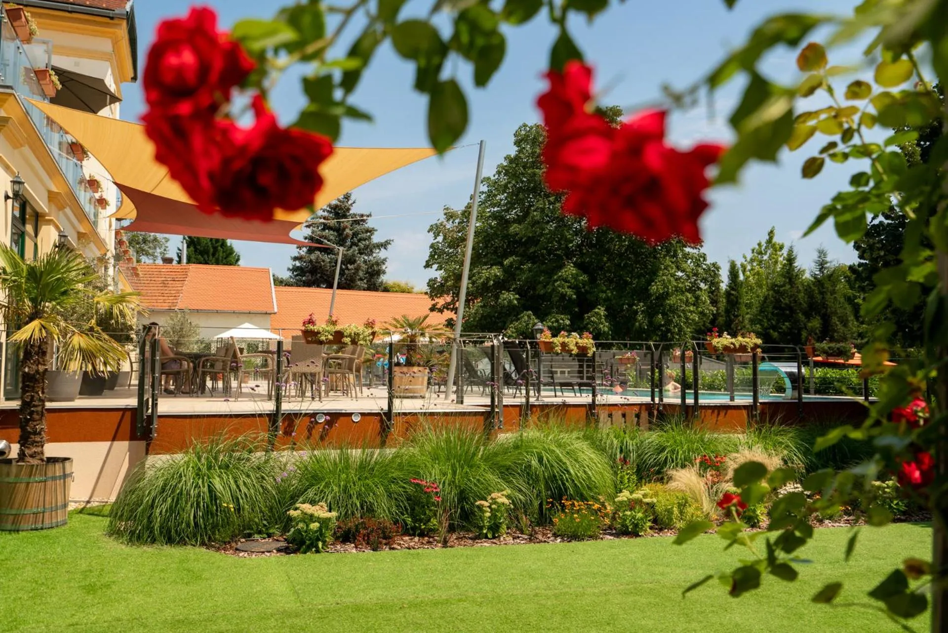 Natural landscape in Elizabeth Hotel