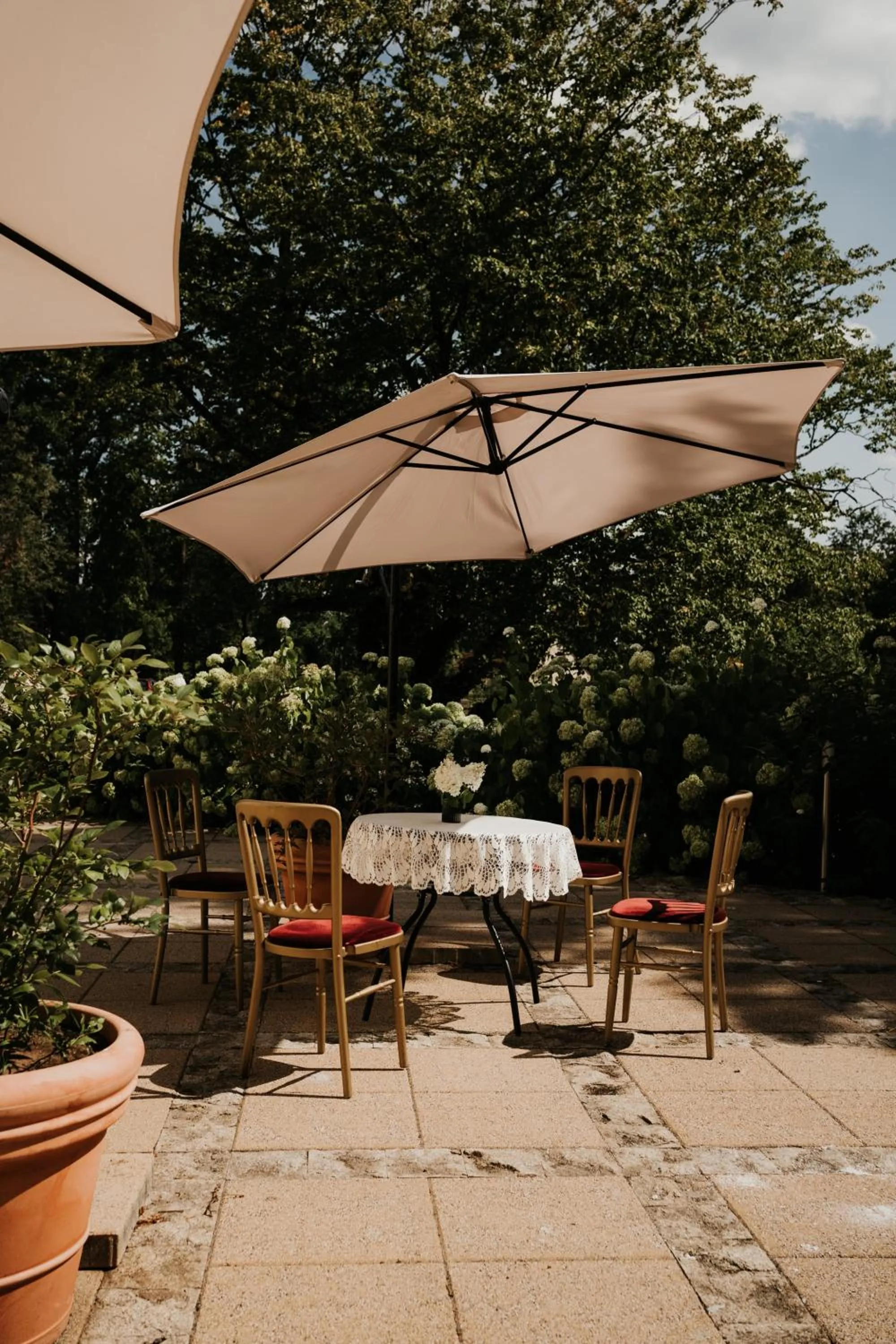 Patio in Pałac Bogaczów - noclegi - restauracja - przyjęcia