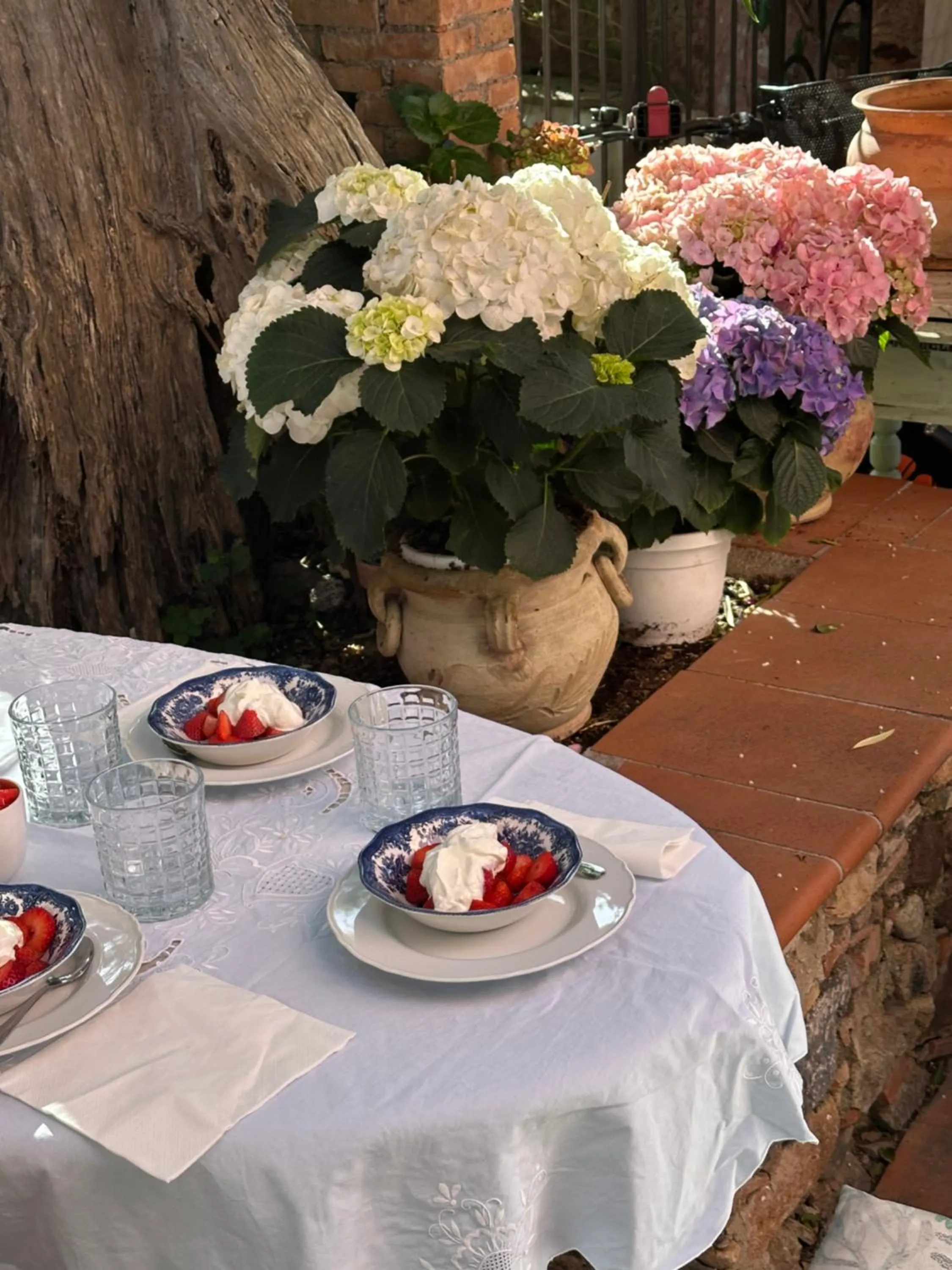 Food and drinks in B&B La Bergerie