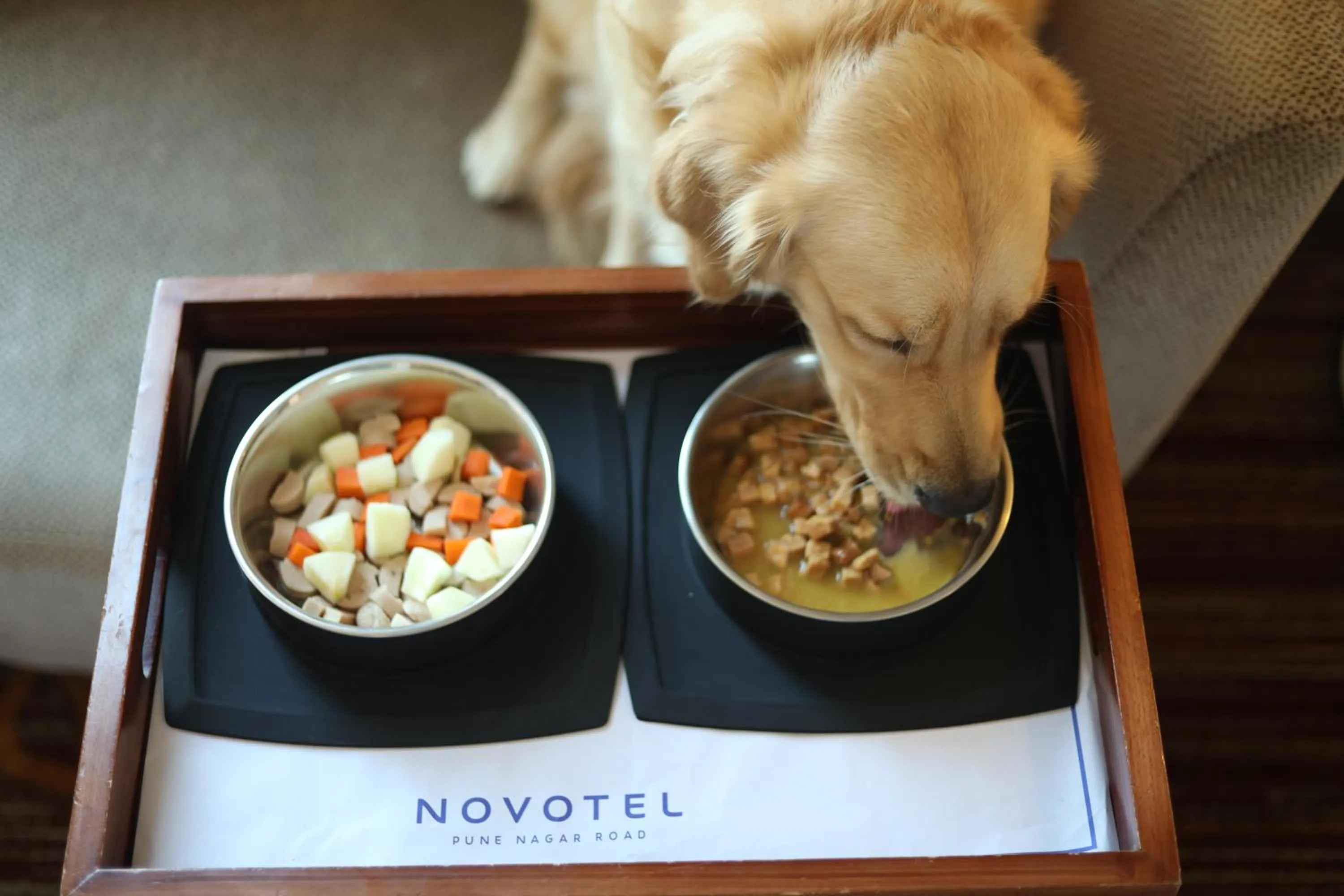 Pets in Novotel Pune Viman Nagar Road