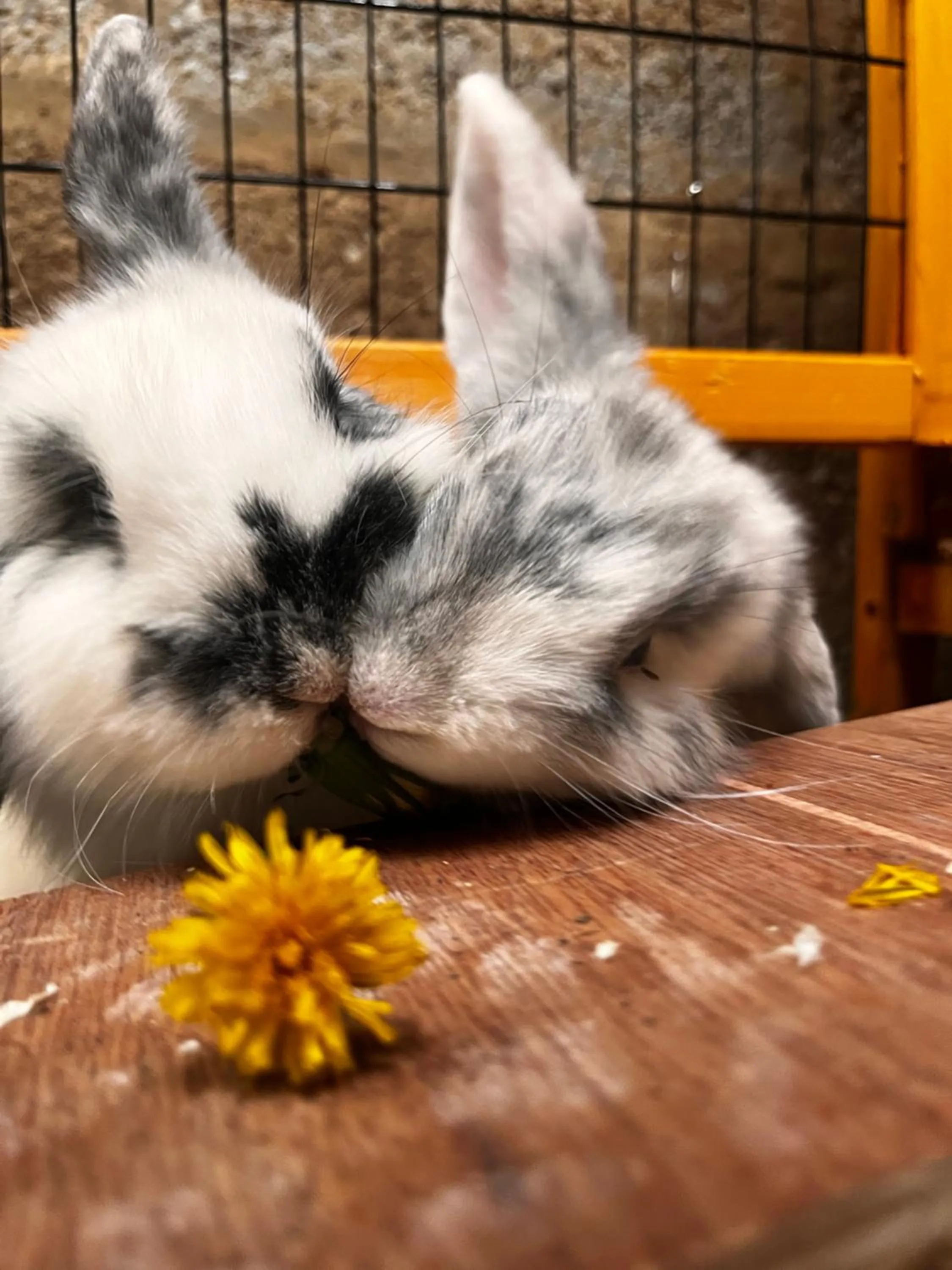 Sharlands Farm Bed and Breakfast