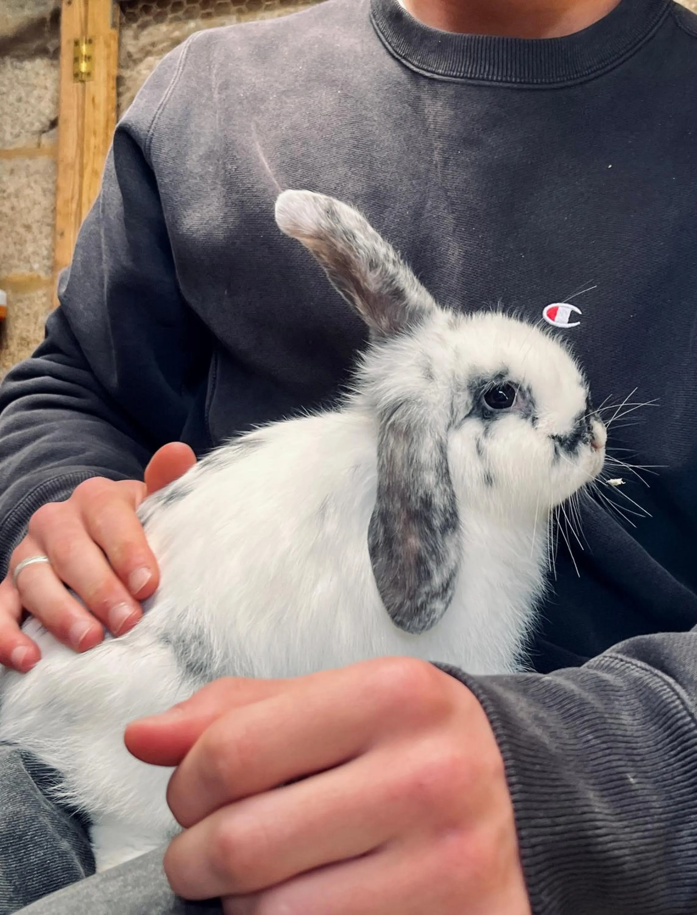 Sharlands Farm Bed and Breakfast