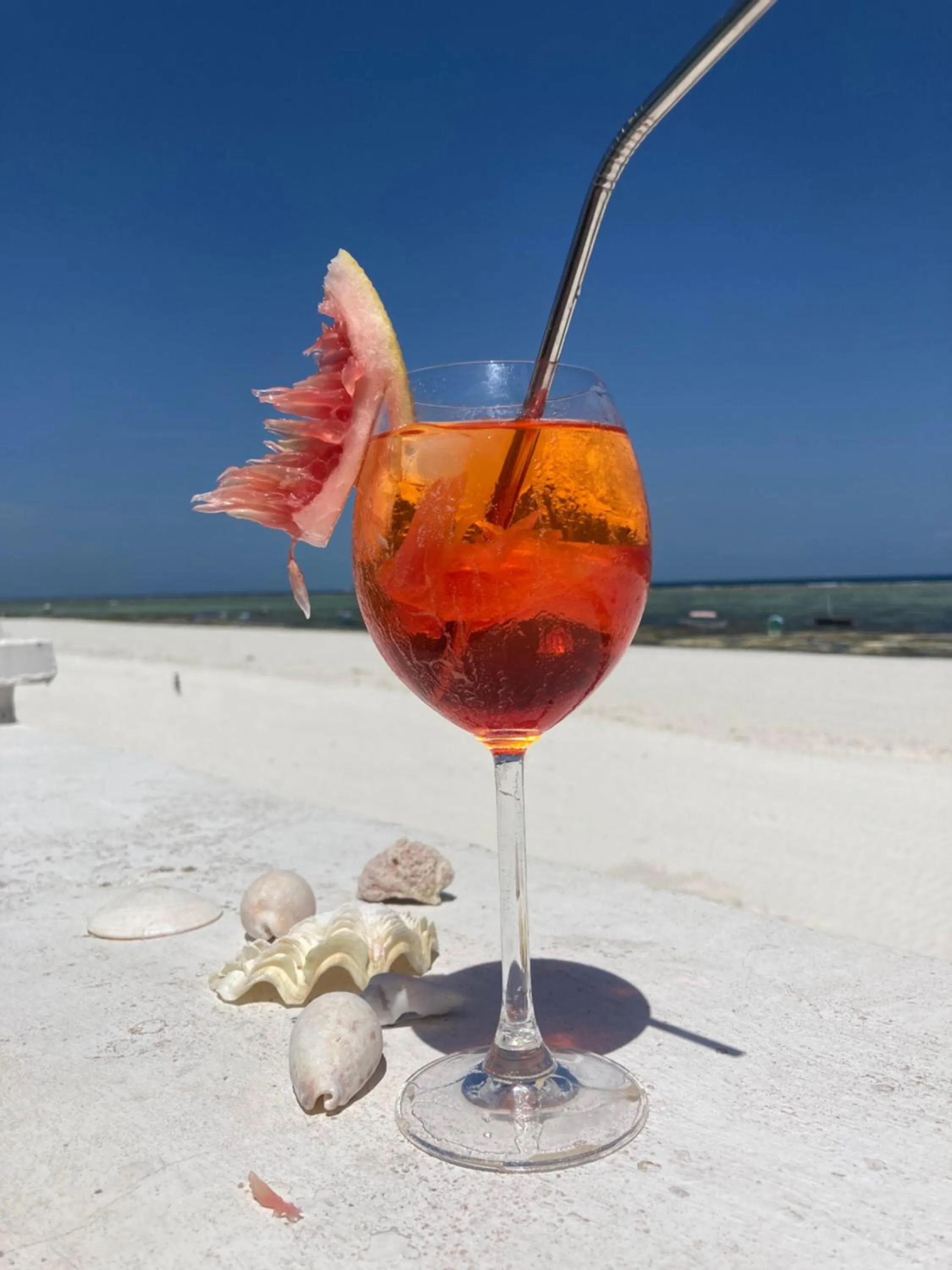 Day in Mambo Paradise