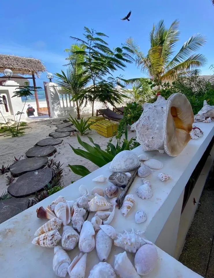 Beach in Mambo Paradise