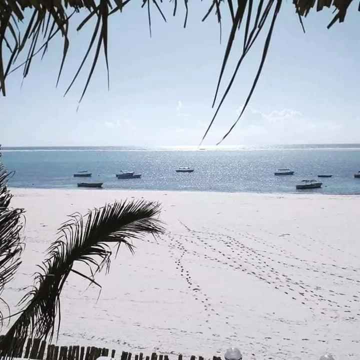 Restaurant/places to eat in Mambo Paradise