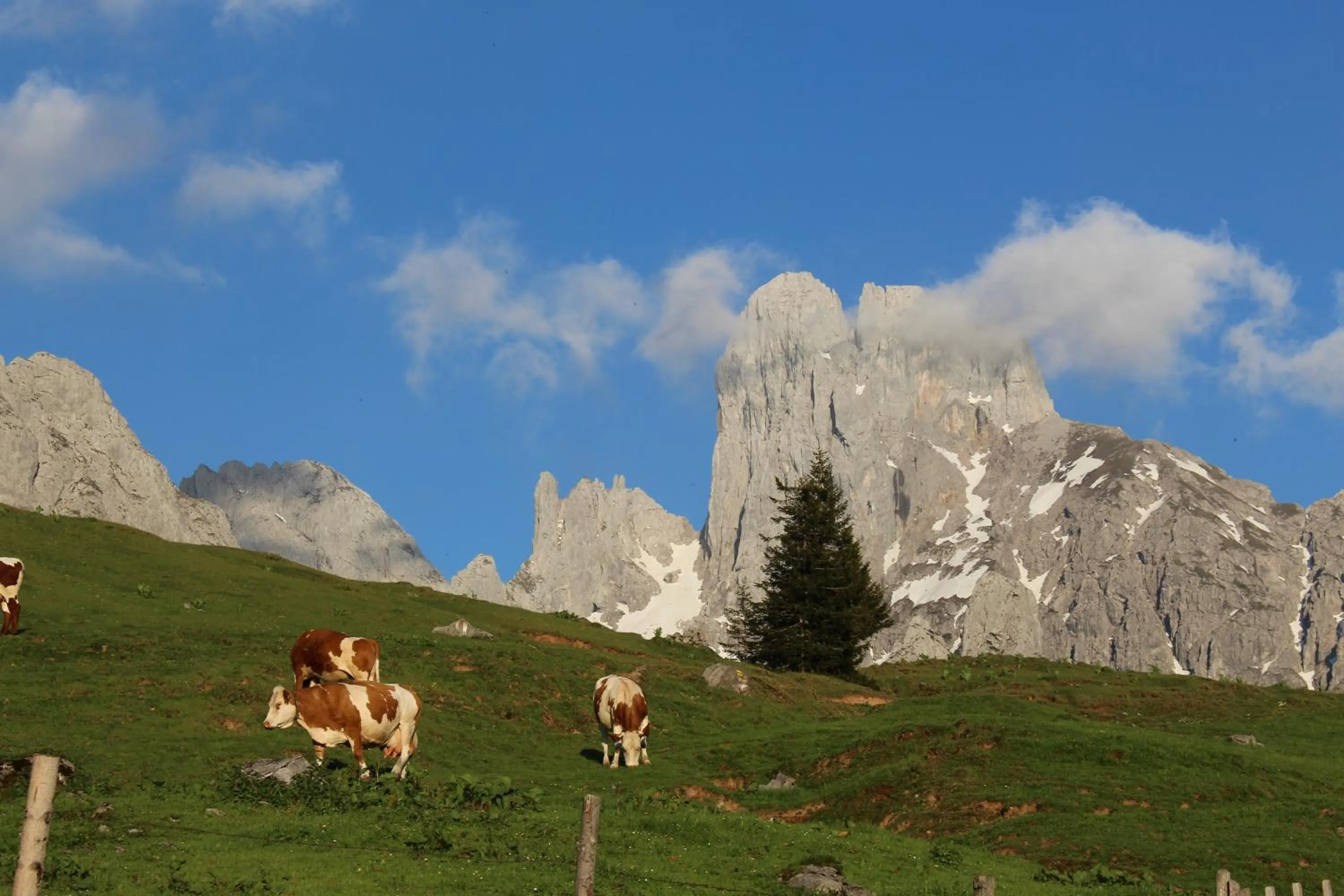 Natural landscape in Salzburger Dolomitenhof