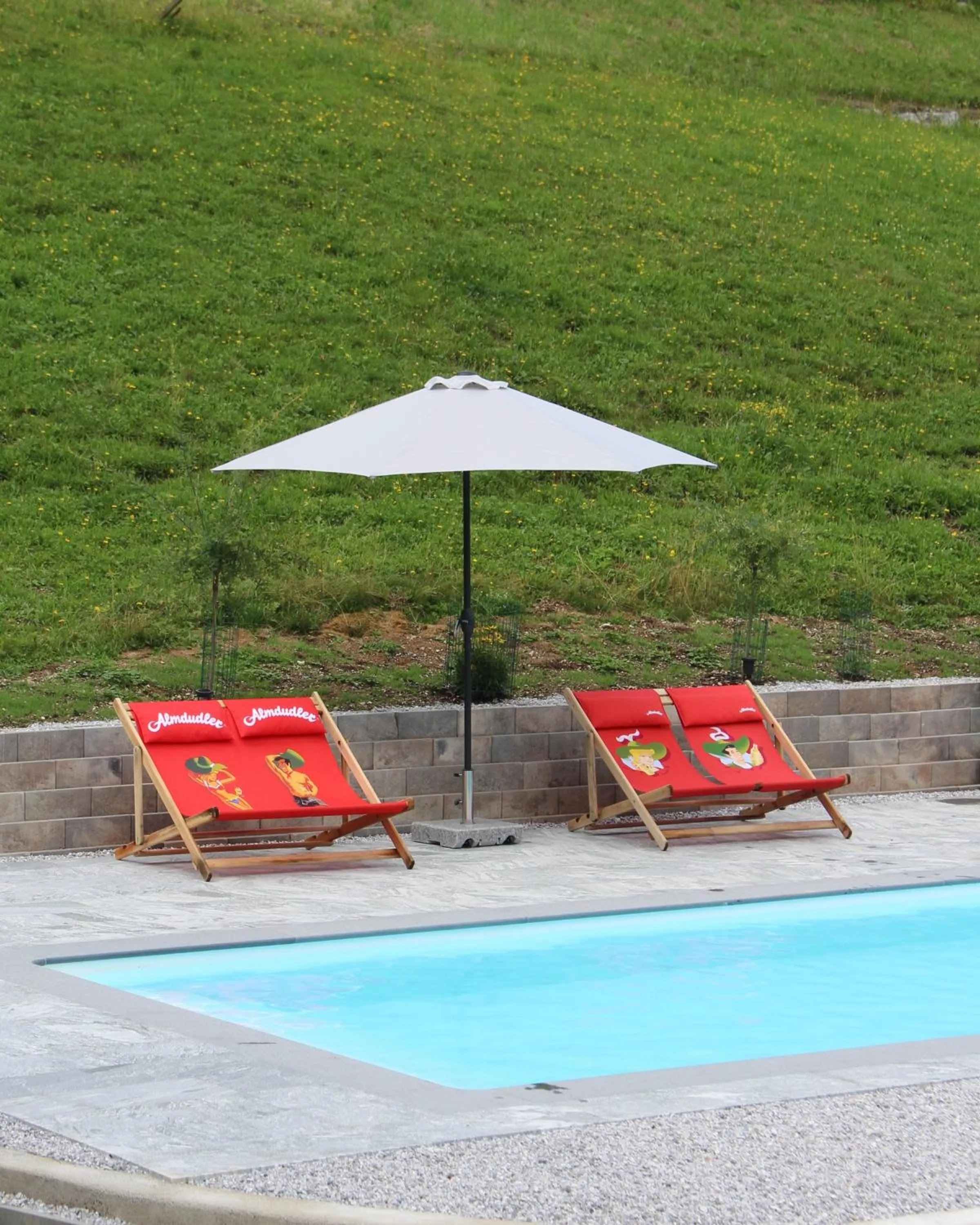 Swimming pool in Salzburger Dolomitenhof