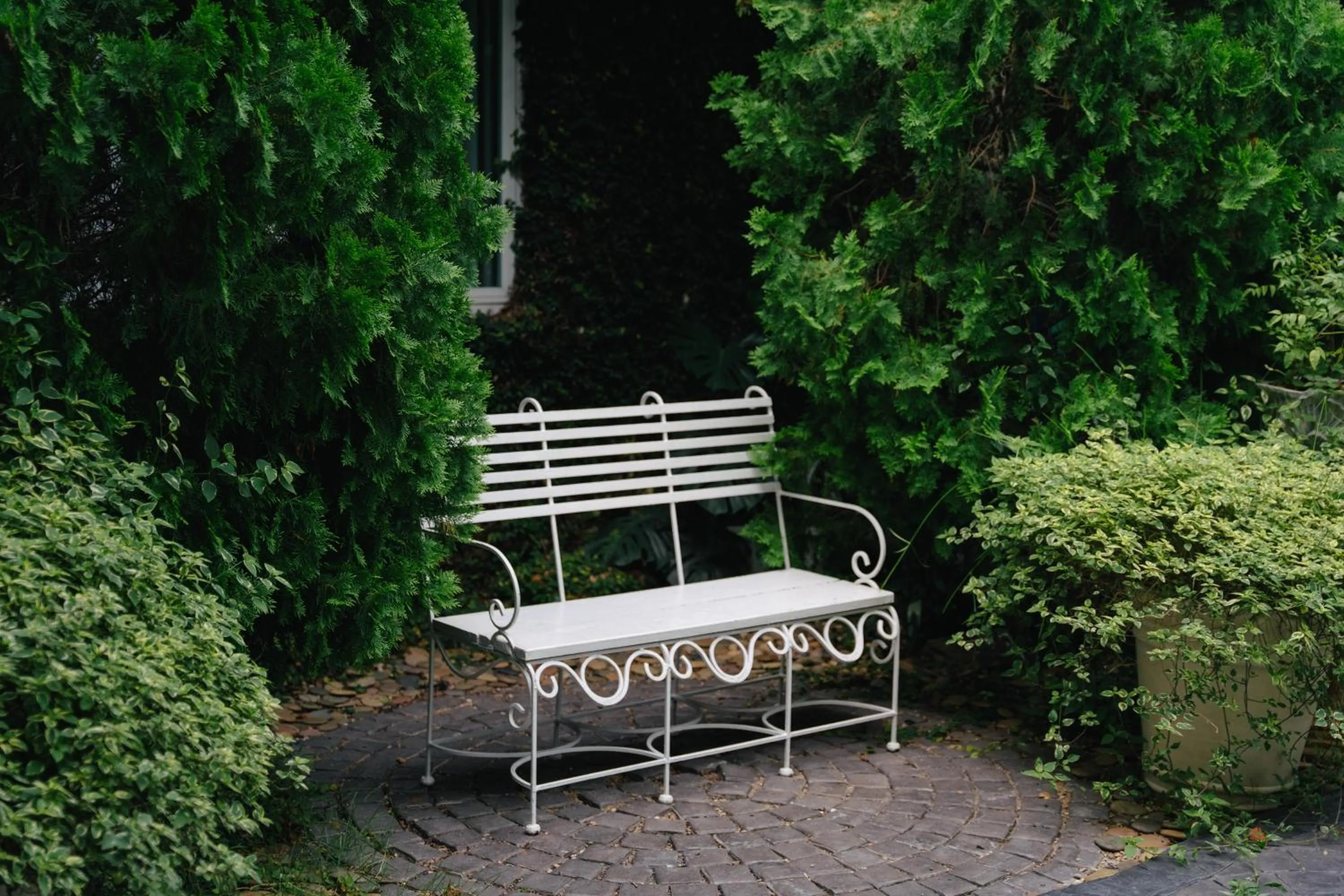 Garden in The Target Hotel chaingrai