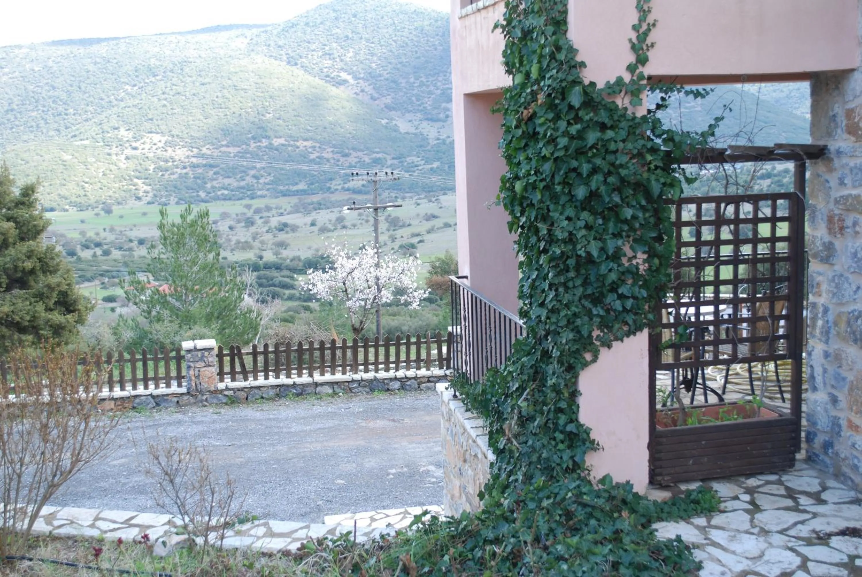 Summer in Menalia Villas & Suites ΚΤΗΜΑ ΚΟΥΜΠΟΥΡΗ