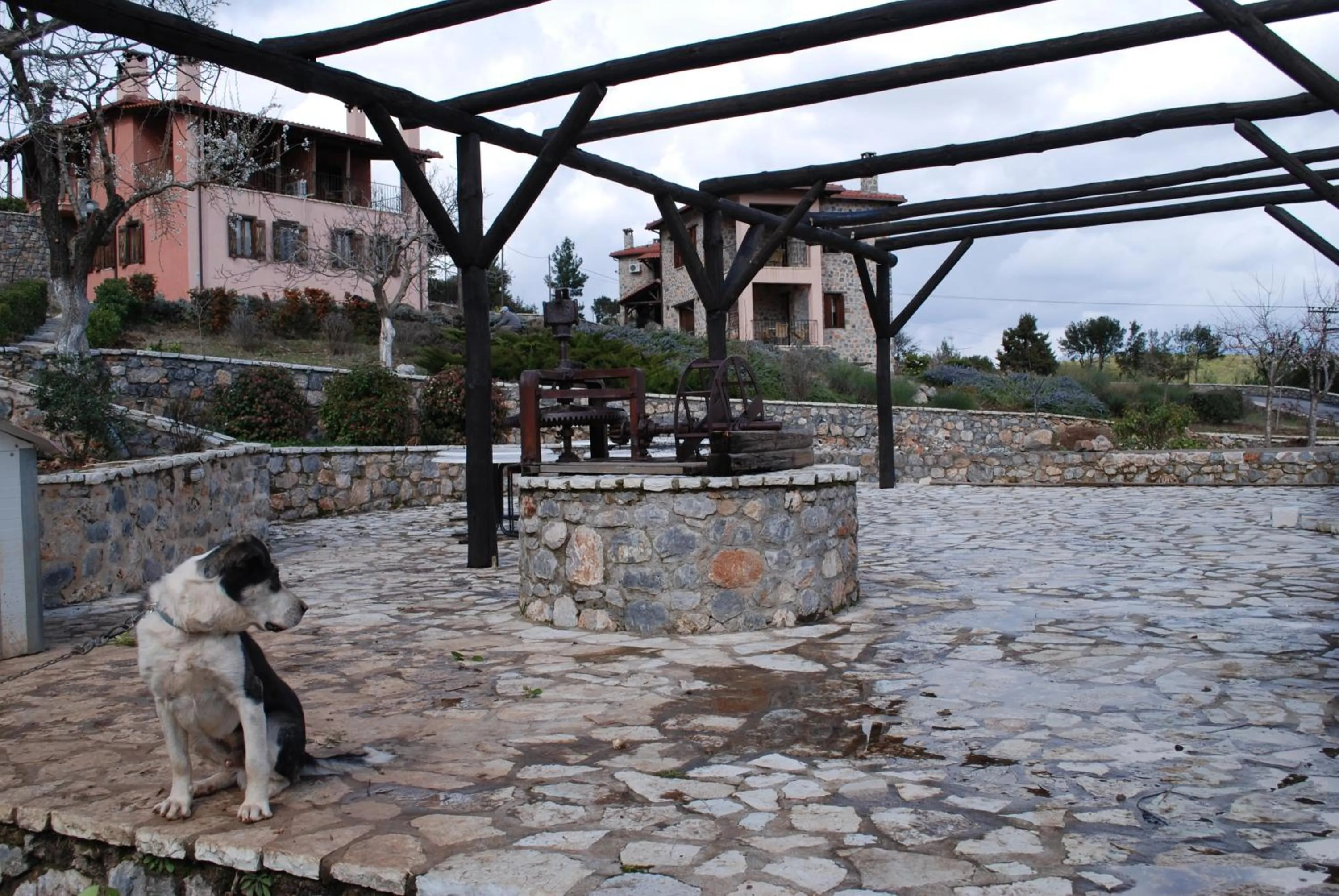 Garden in Menalia Villas & Suites ΚΤΗΜΑ ΚΟΥΜΠΟΥΡΗ