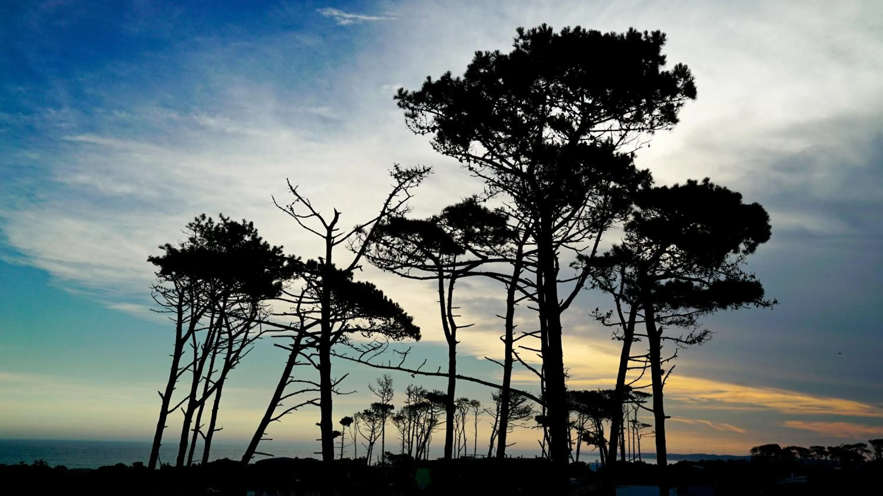 View (from property/room) in Casagrande Hotel & Beach Club